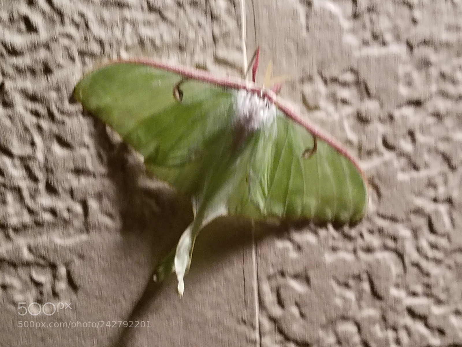 Samsung Galaxy S7 Edge sample photo. 20170721_224411.jpg photography