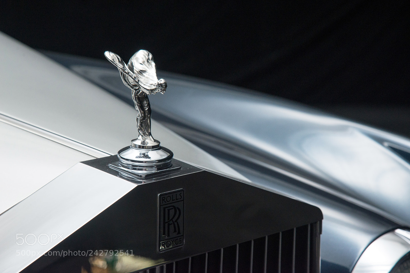 Nikon D610 sample photo. Untitled photography