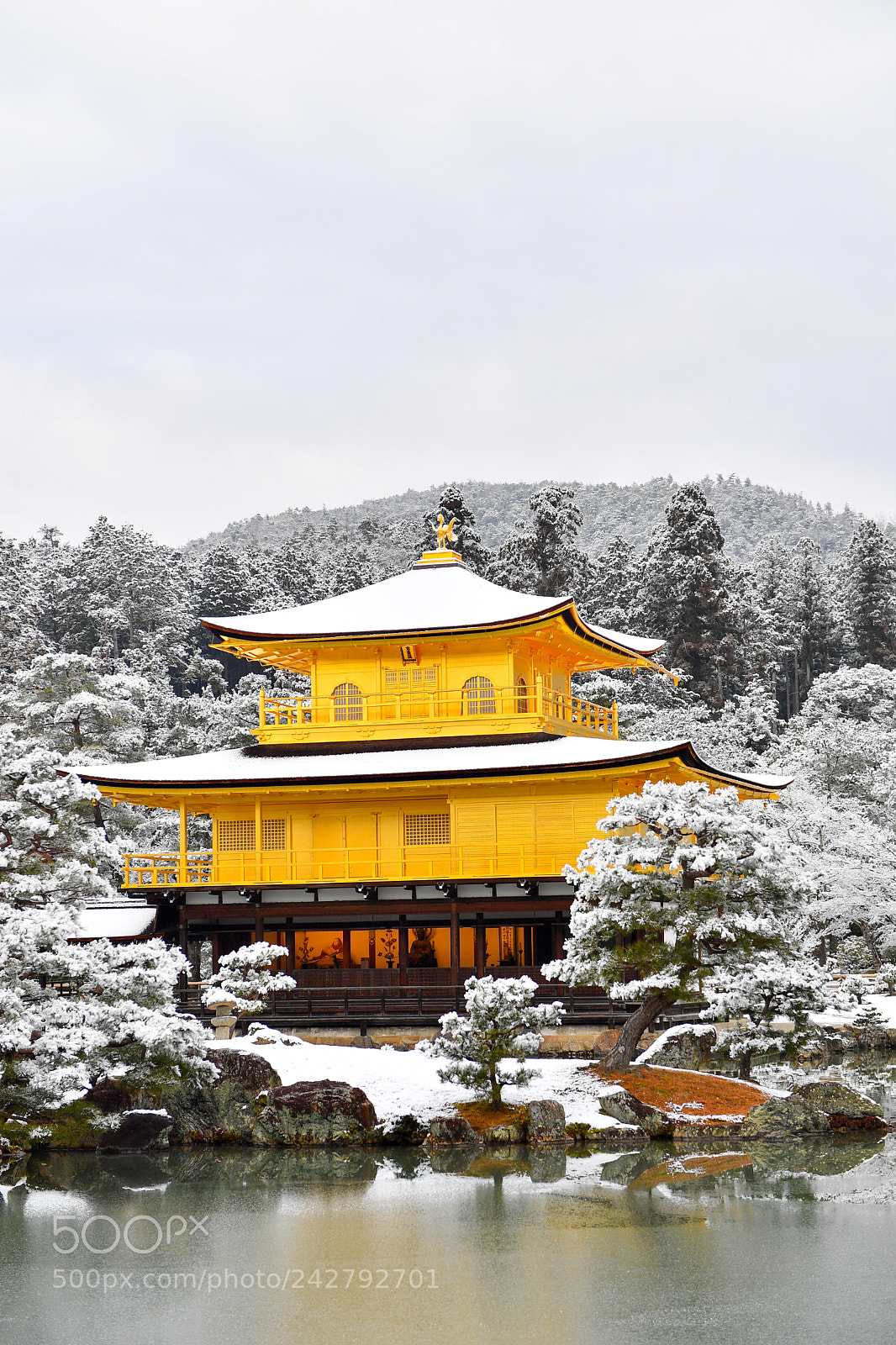 Nikon D5 sample photo. Kinkaku-ji photography