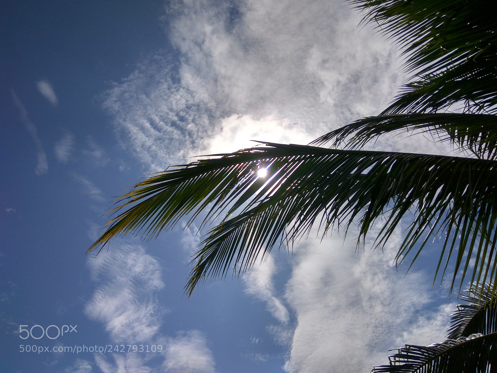 Xiaomi Redmi Note 3 sample photo. Sun shines through photography