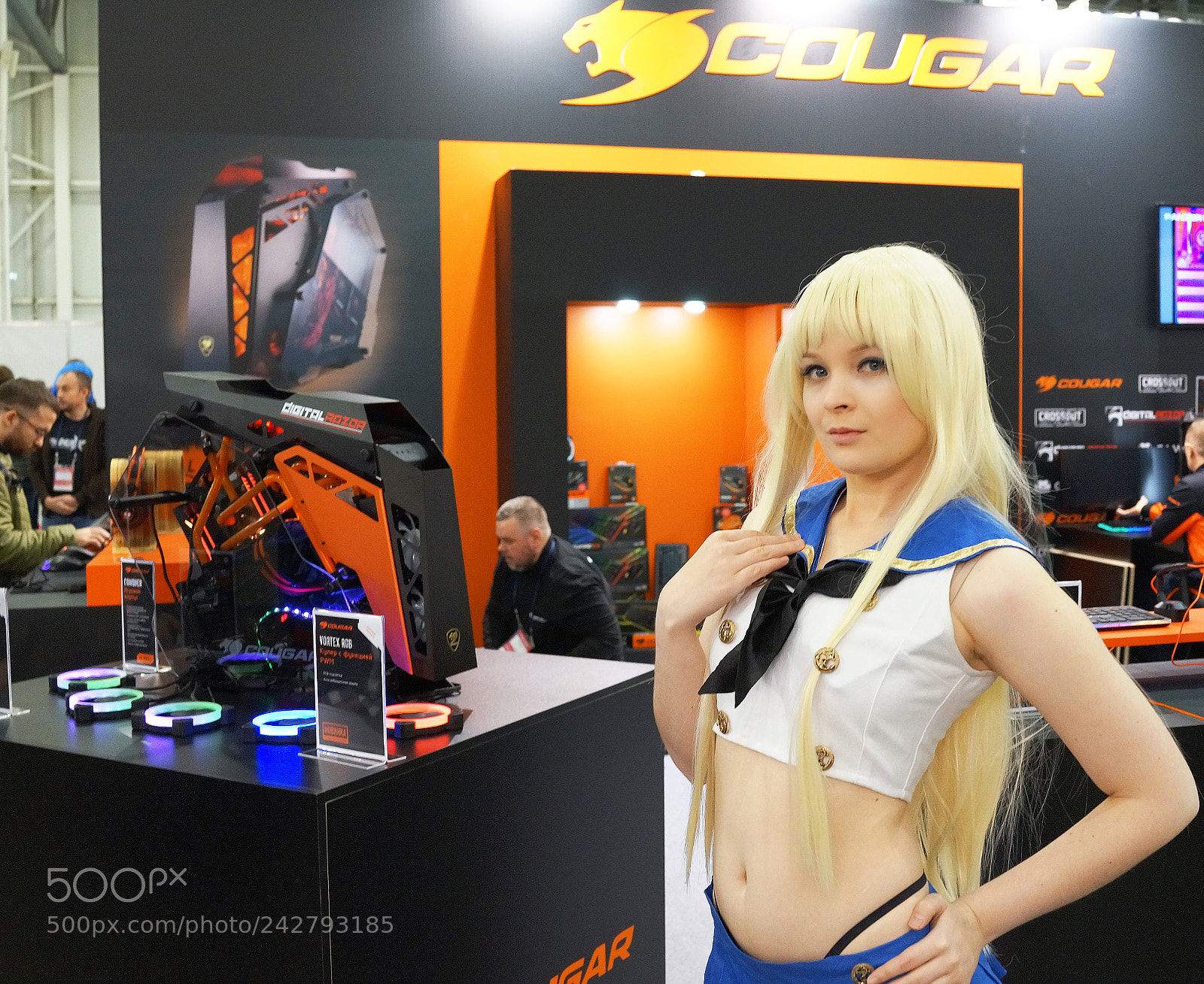 Sony Cyber-shot DSC-RX1R sample photo. Pc for true gamers photography
