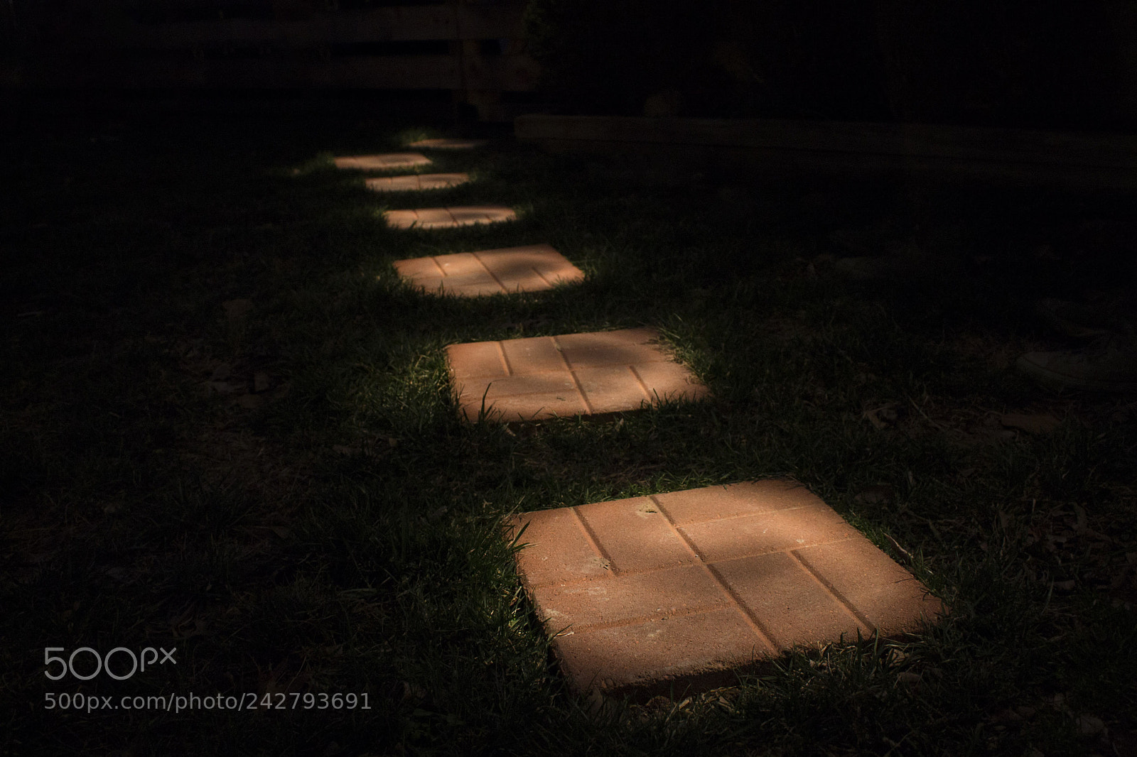 Canon EOS 1100D (EOS Rebel T3 / EOS Kiss X50) sample photo. Illuminated pathway photography