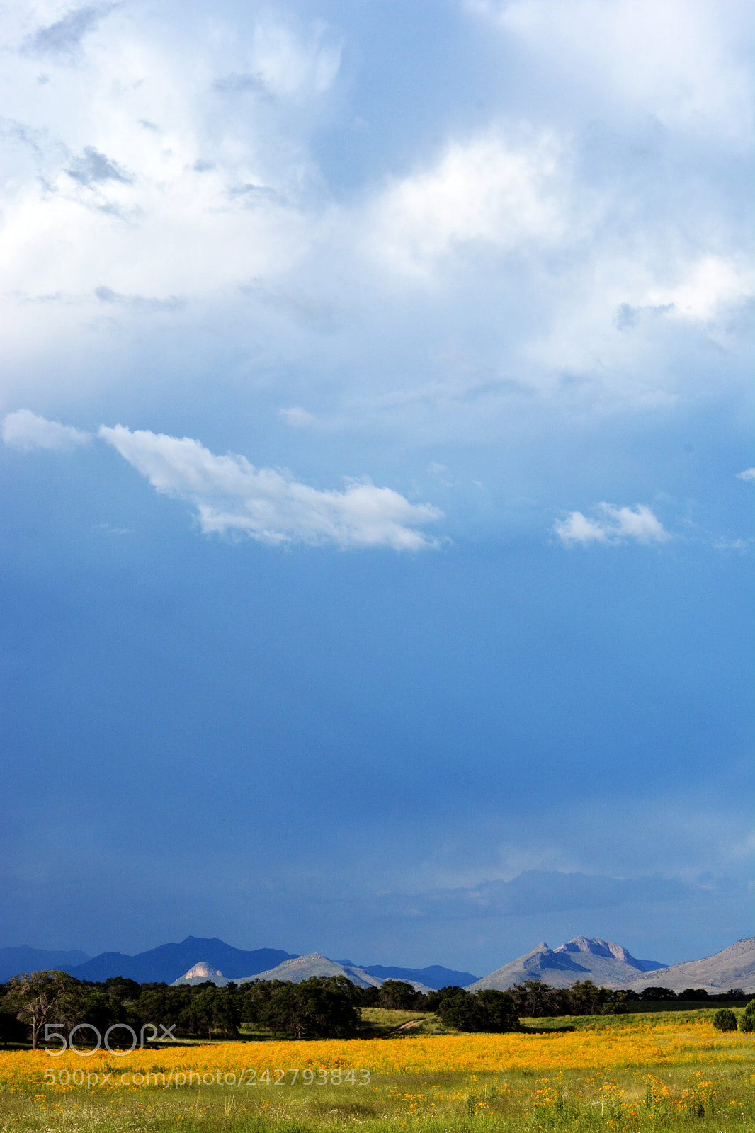 Nikon D7100 sample photo. Arizona sky photography