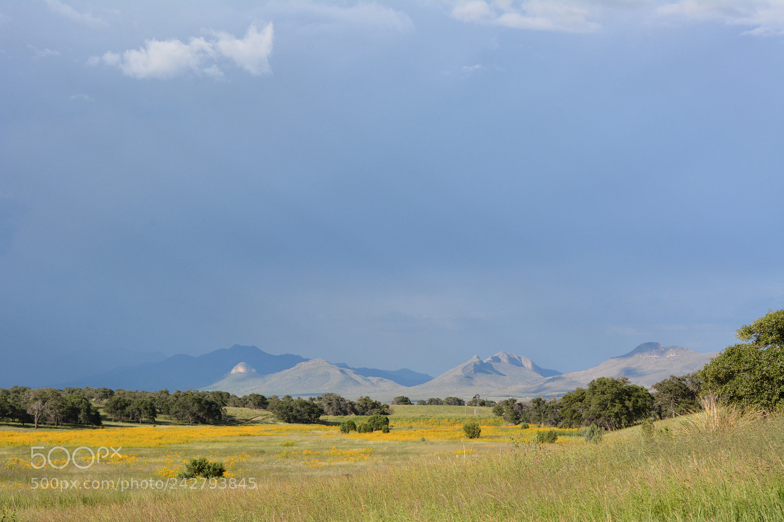 Nikon D7100 sample photo. Arizona cowboy country photography