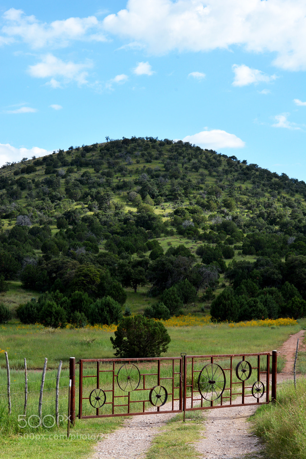 Nikon D7100 sample photo. Ranch life photography