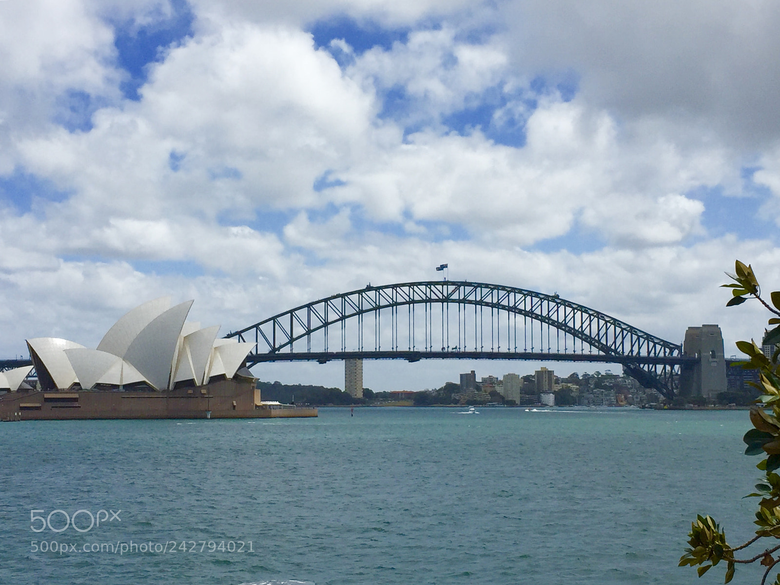 Apple iPhone 6 sample photo. Australia/sydney 澳/悉尼 (180117) photography