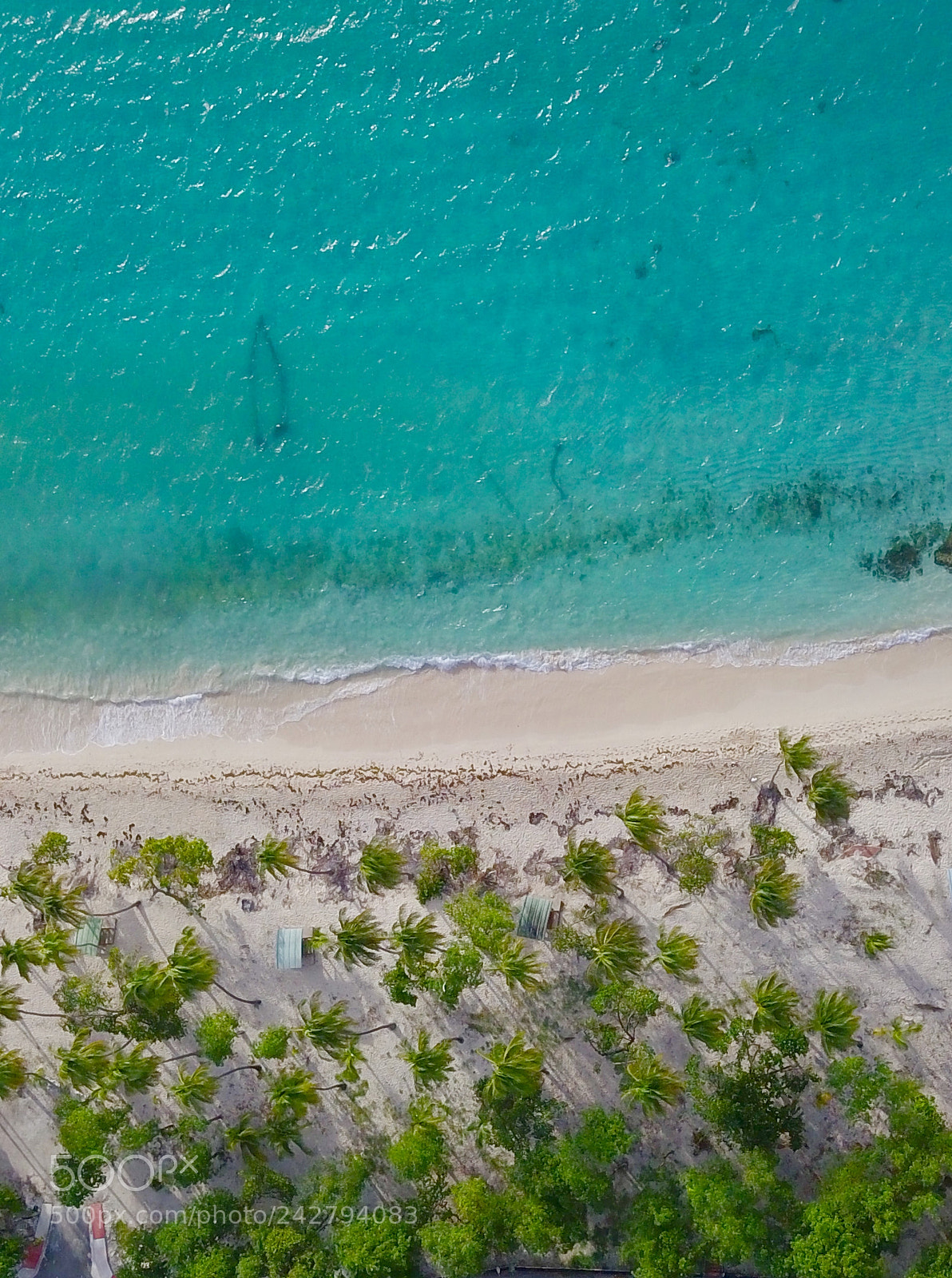 DJI FC220 sample photo. Les antilles, plage (marie-galante) photography