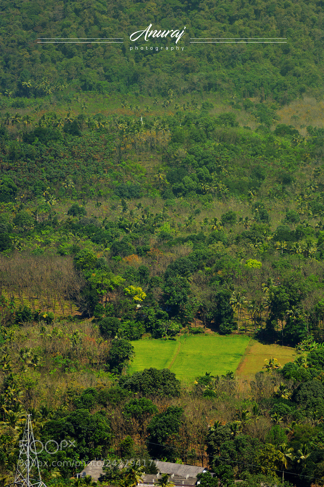 Nikon D3200 sample photo. Green land photography