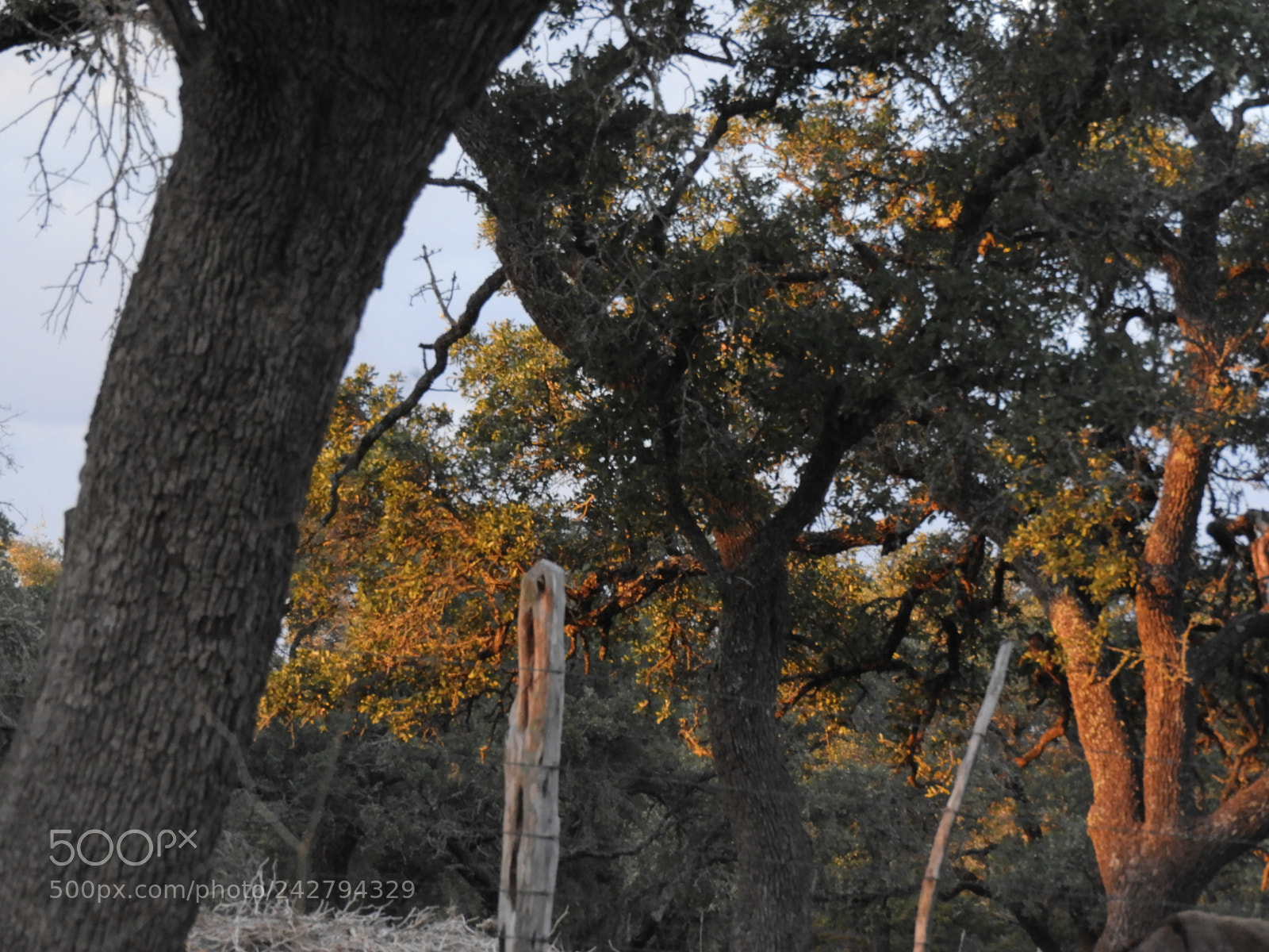 Nikon Coolpix B700 sample photo. Sunset colors in the photography