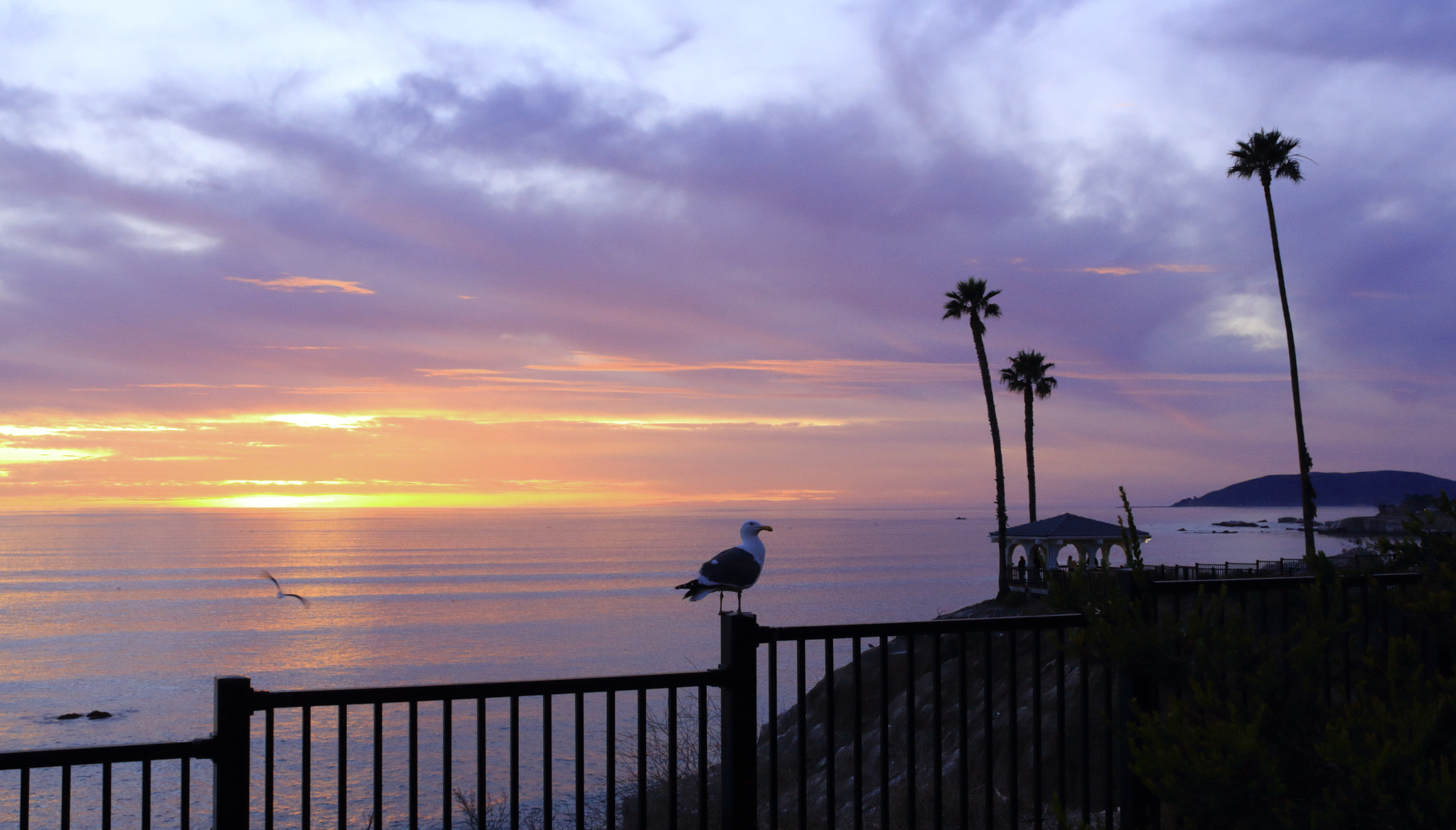 Canon EOS 650D (EOS Rebel T4i / EOS Kiss X6i) sample photo. Watching a beautiful sunset photography