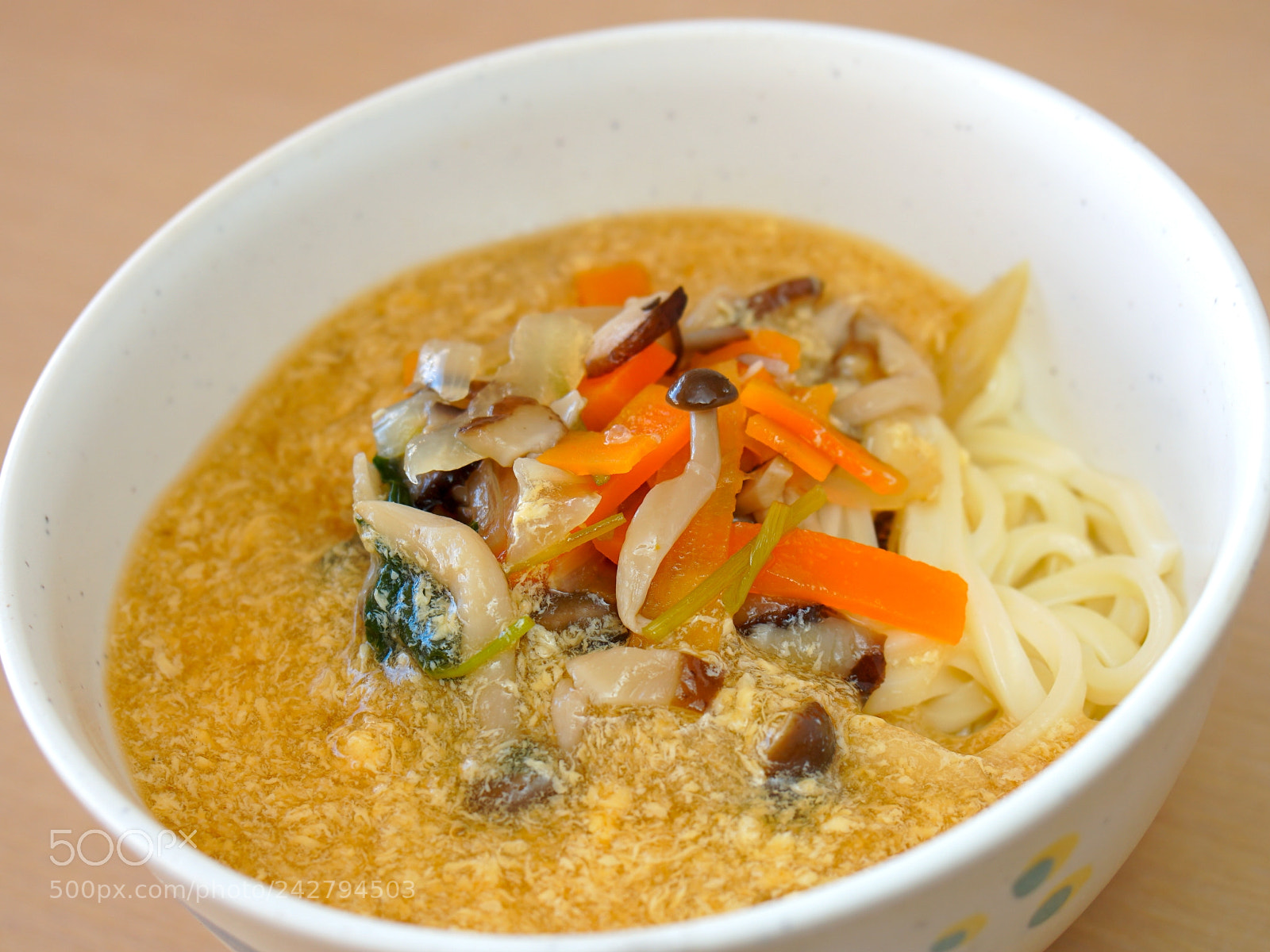 Sony a6500 sample photo. Japanese udon-noodles photography