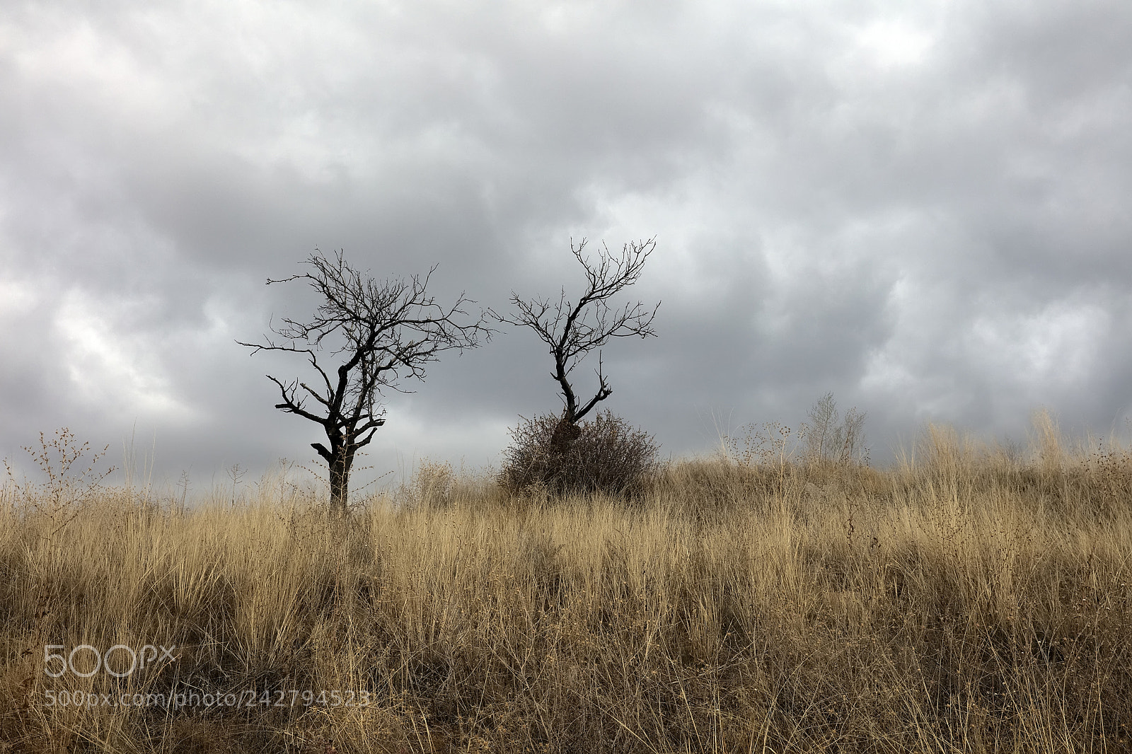 Canon EOS 5DS R sample photo. A photography