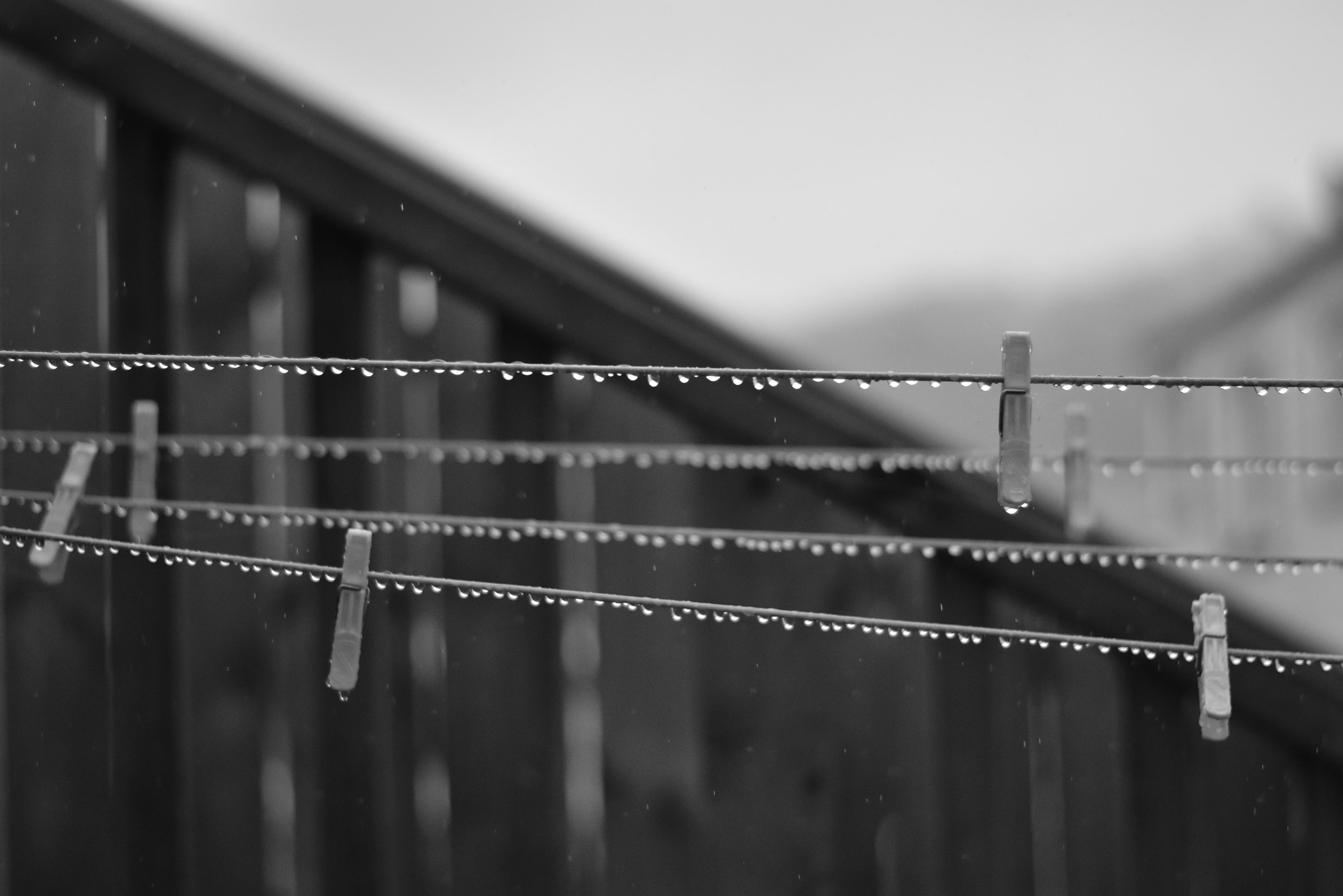 Nikon D5500 + Nikon AF-S Nikkor 50mm F1.8G sample photo. Hanging the rain to dry photography