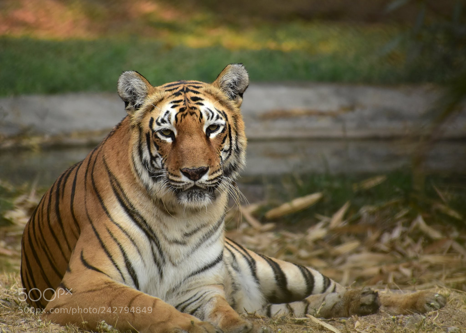 Nikon D7200 sample photo. Untitled photography