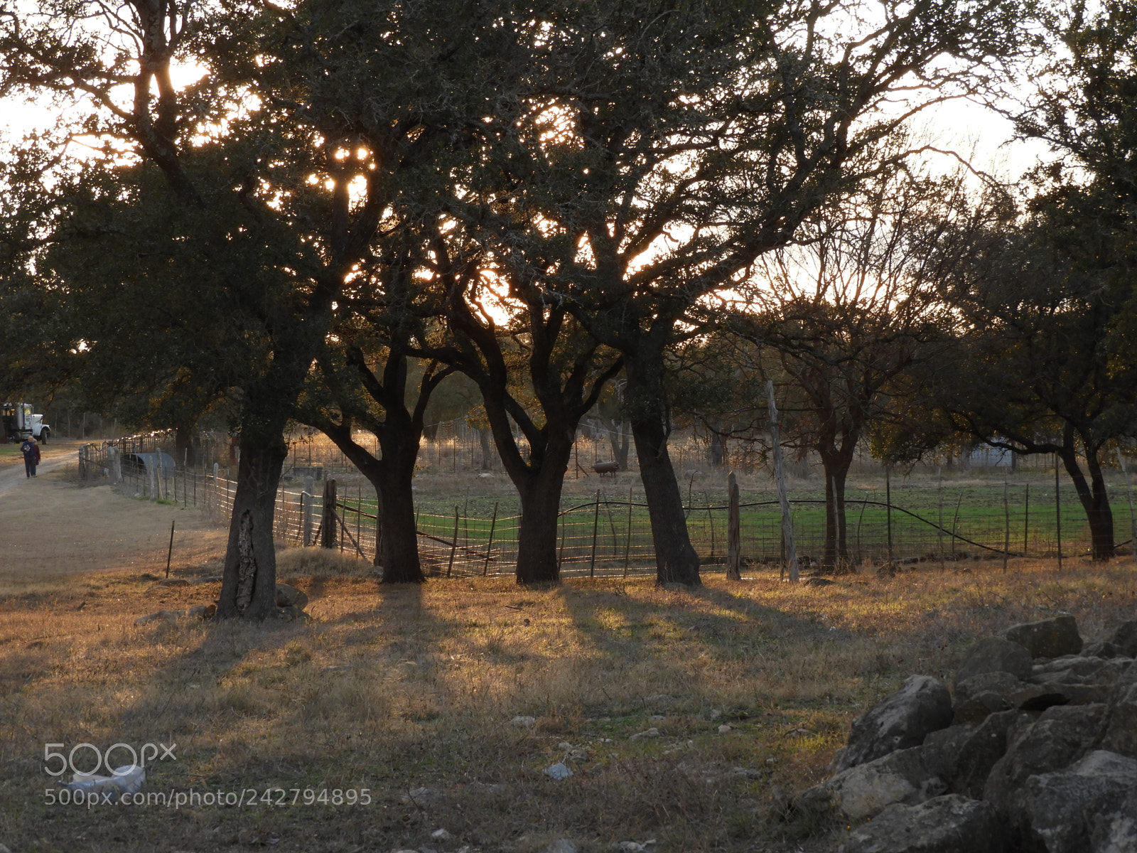Nikon Coolpix B700 sample photo. Great light at end photography