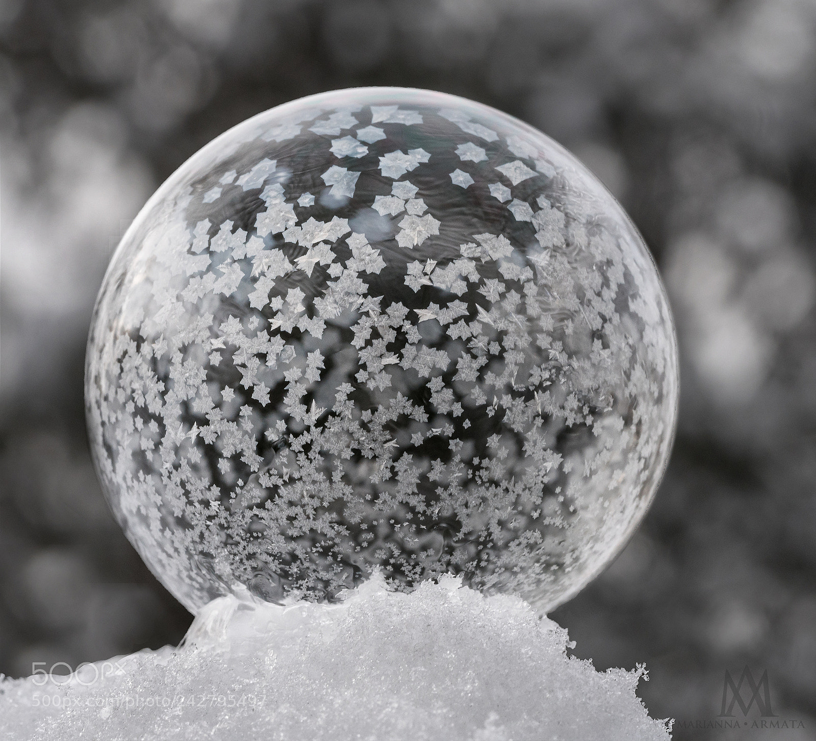 Panasonic Lumix DMC-GH4 sample photo. Starry starry bubble photography