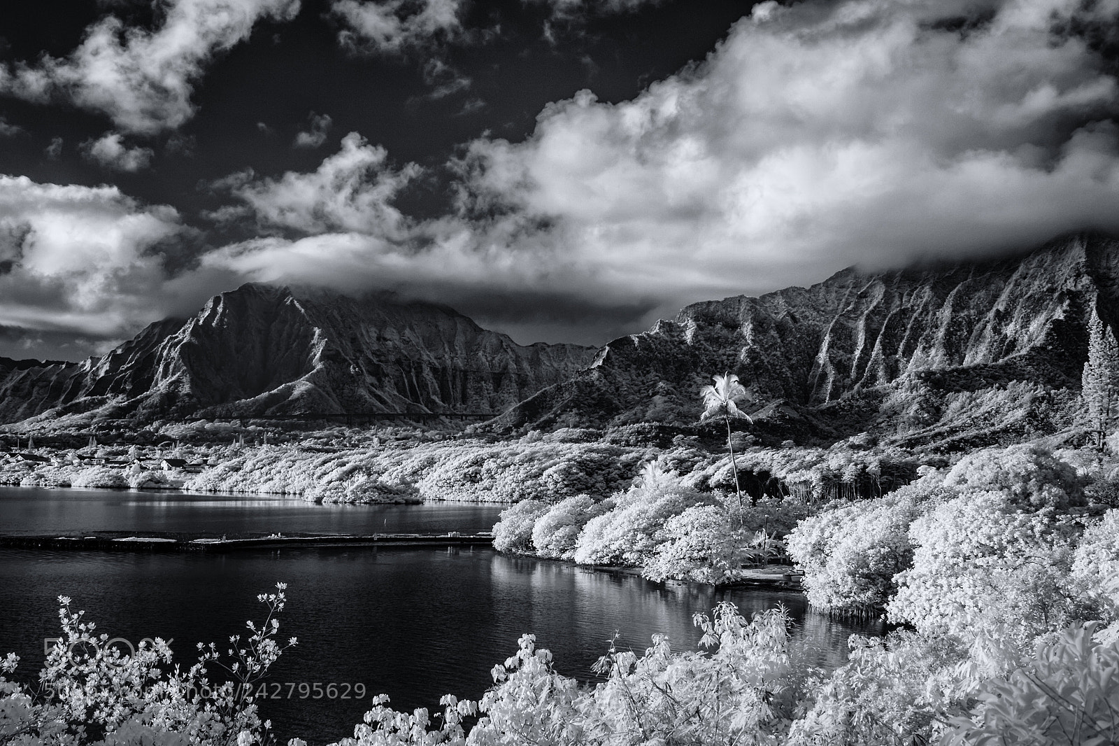 Canon EOS 60D sample photo. Paepae o he eia...infrared photography
