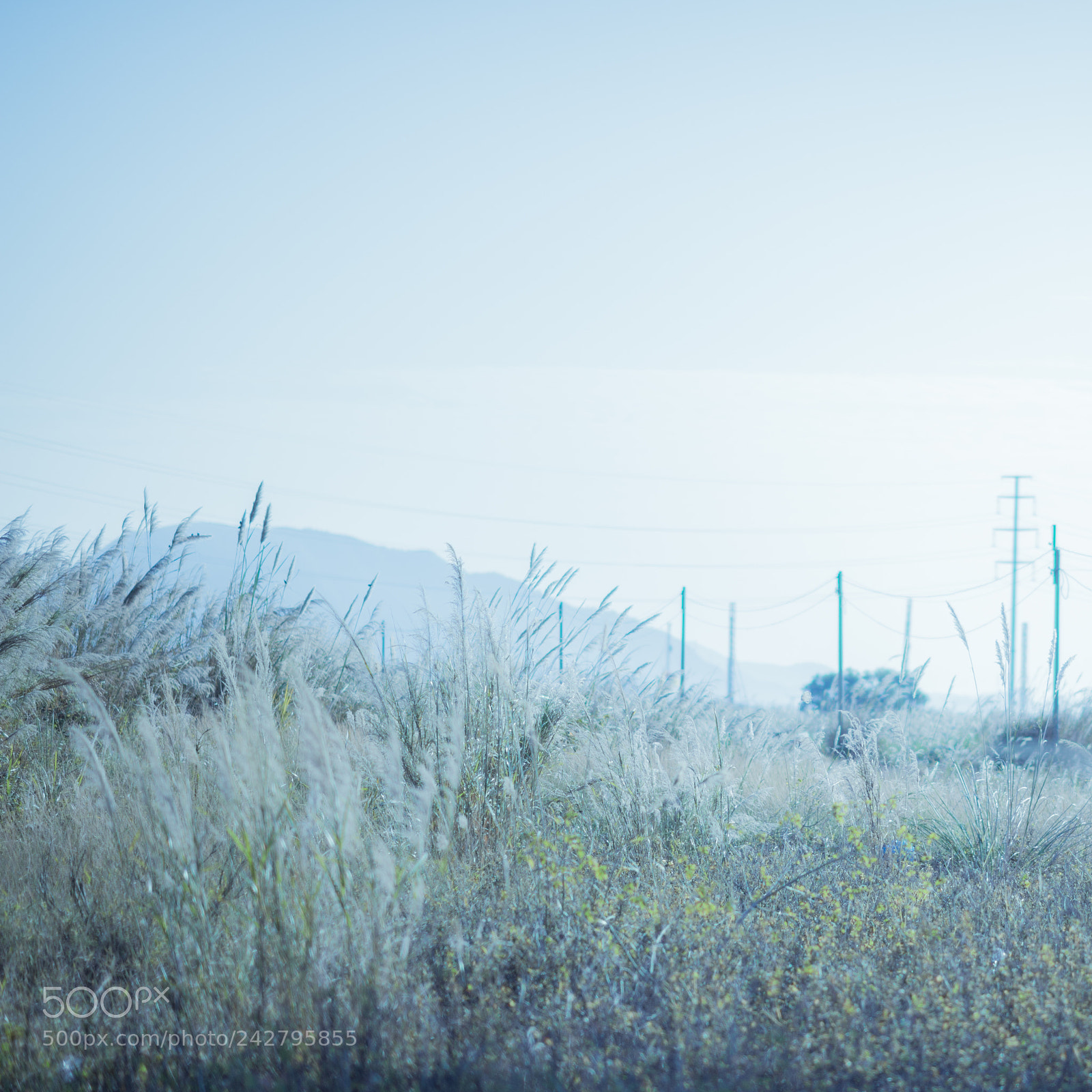 Nikon D800 sample photo. Life. photography