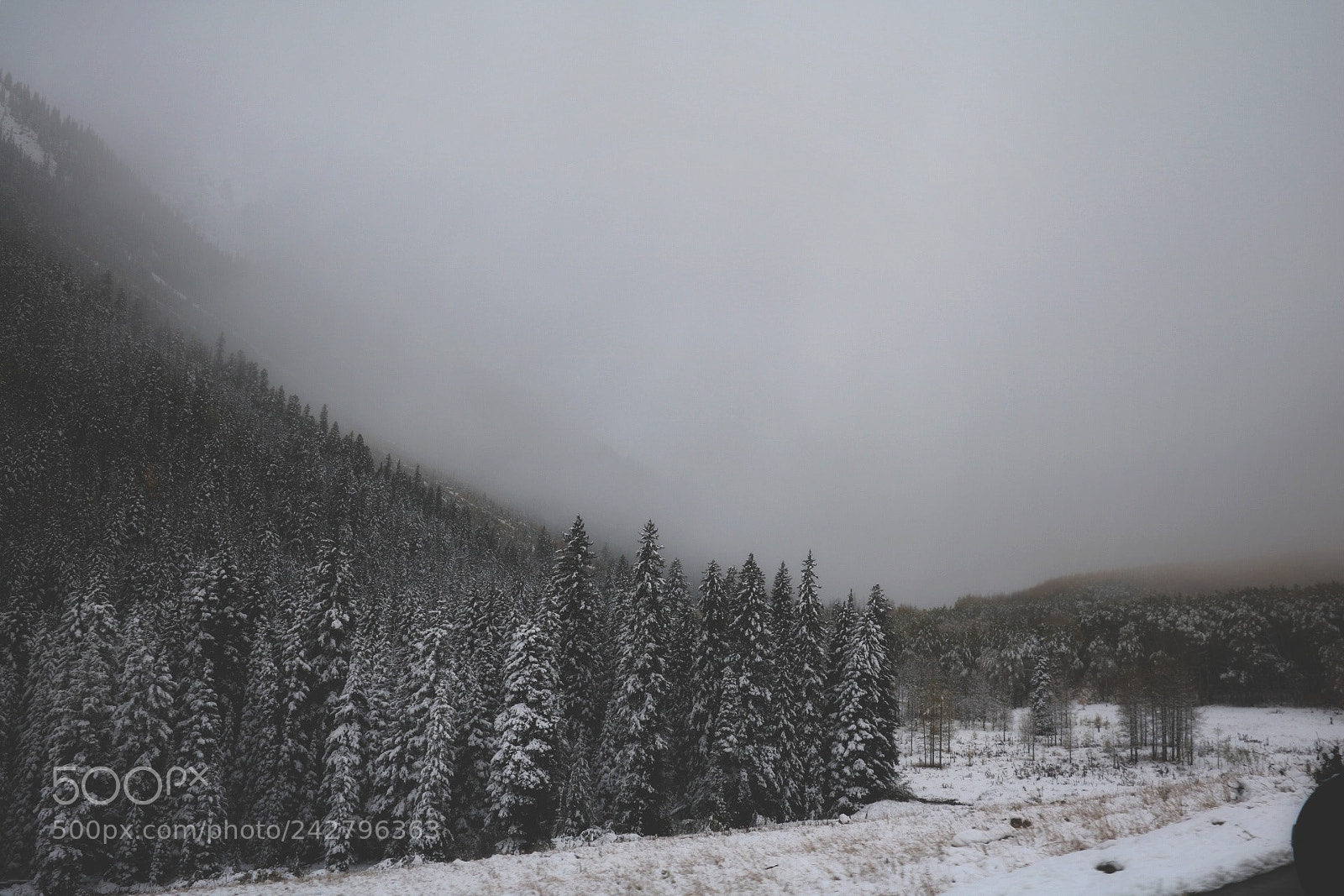 Canon EOS 750D (EOS Rebel T6i / EOS Kiss X8i) sample photo. Maroon bells photography