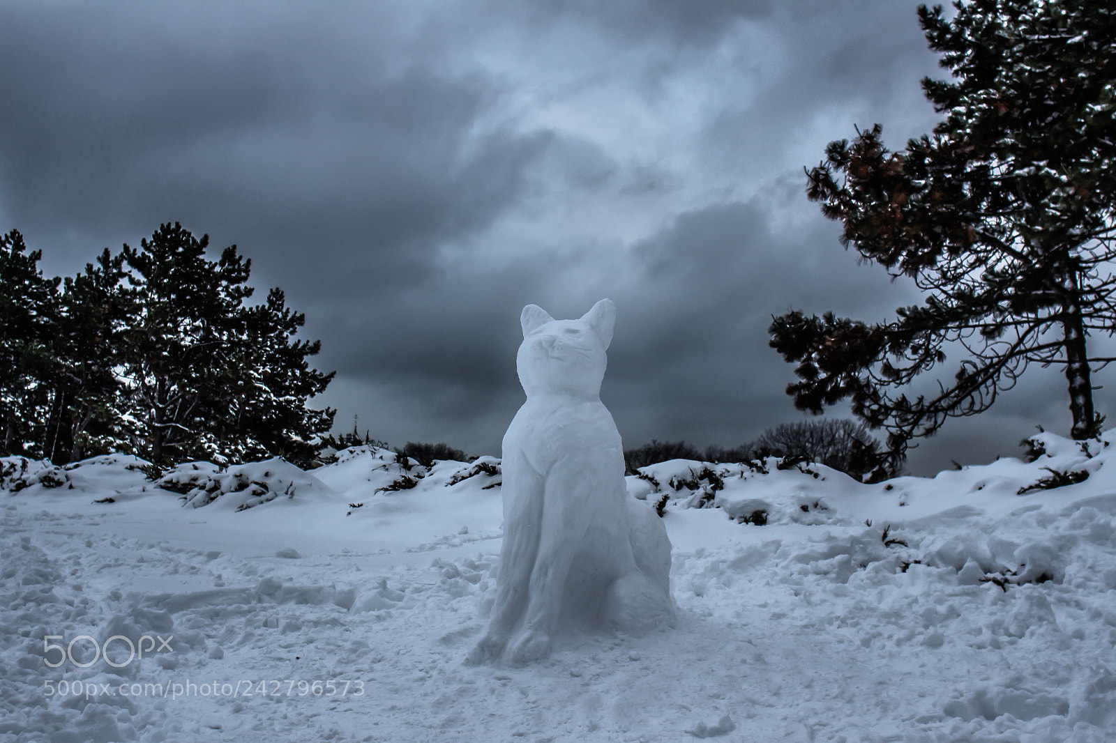 Canon EOS 700D (EOS Rebel T5i / EOS Kiss X7i) sample photo. Snow cat photography