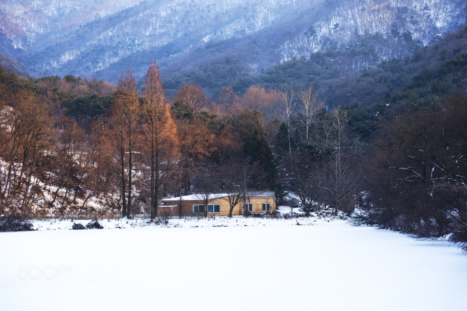 Nikon D810 sample photo. A wintry scene photography