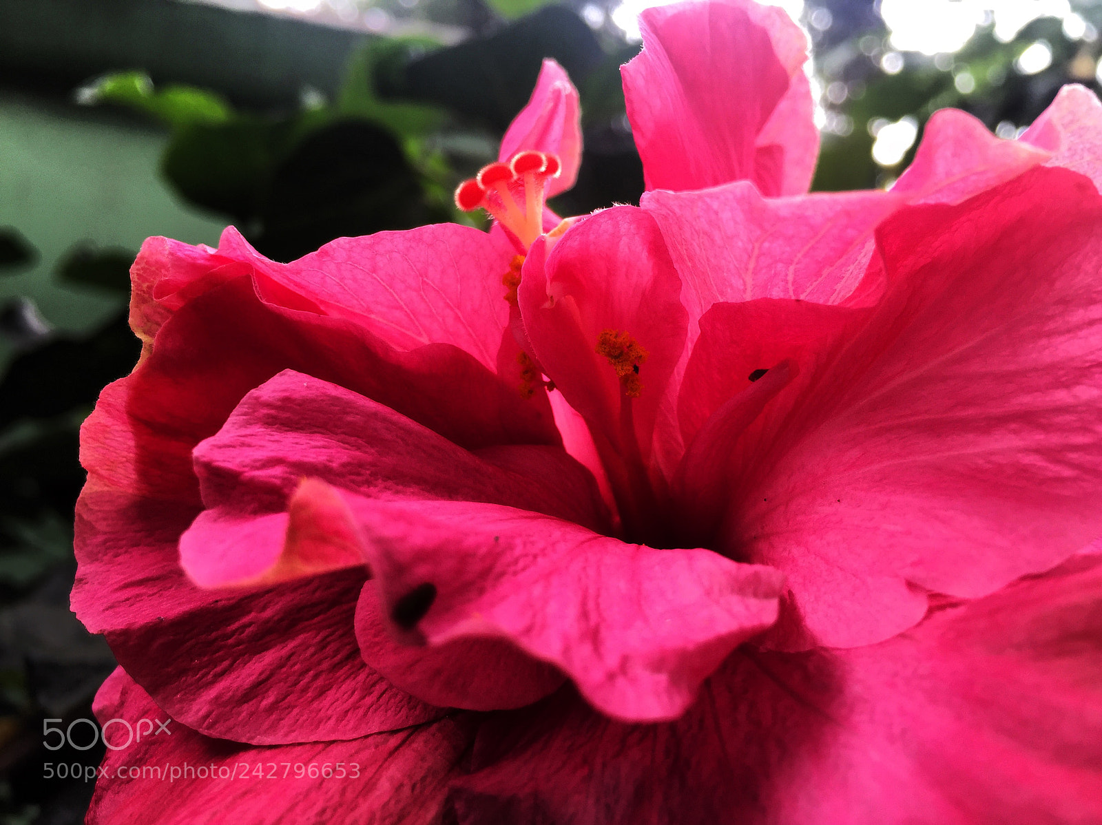 Apple iPhone 6 sample photo. A veces miramos m photography