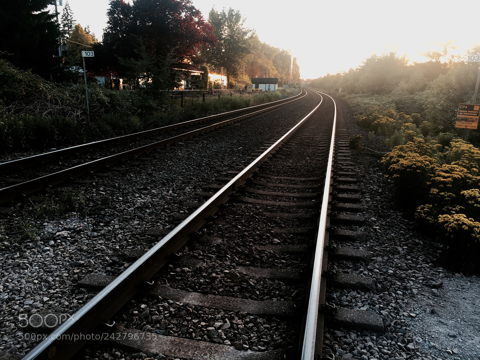 Apple iPhone 6s sample photo. Untitled photography
