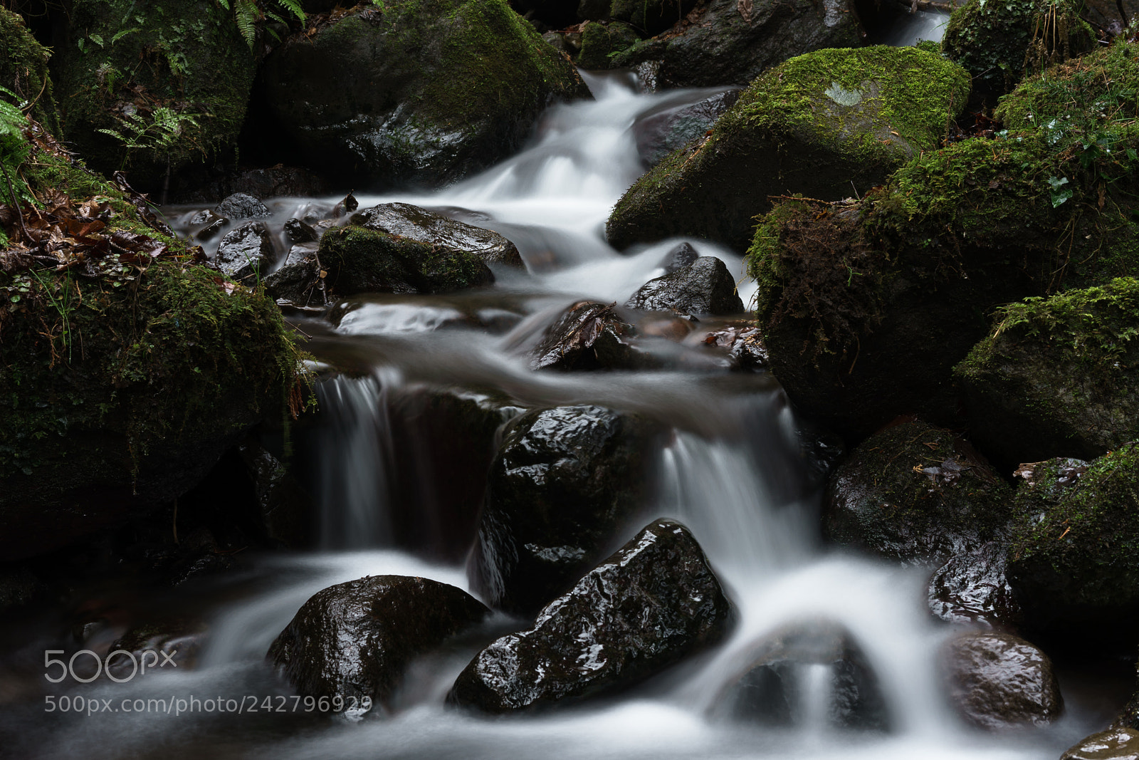 Sony a7 II sample photo. Rainy mountain stream photography