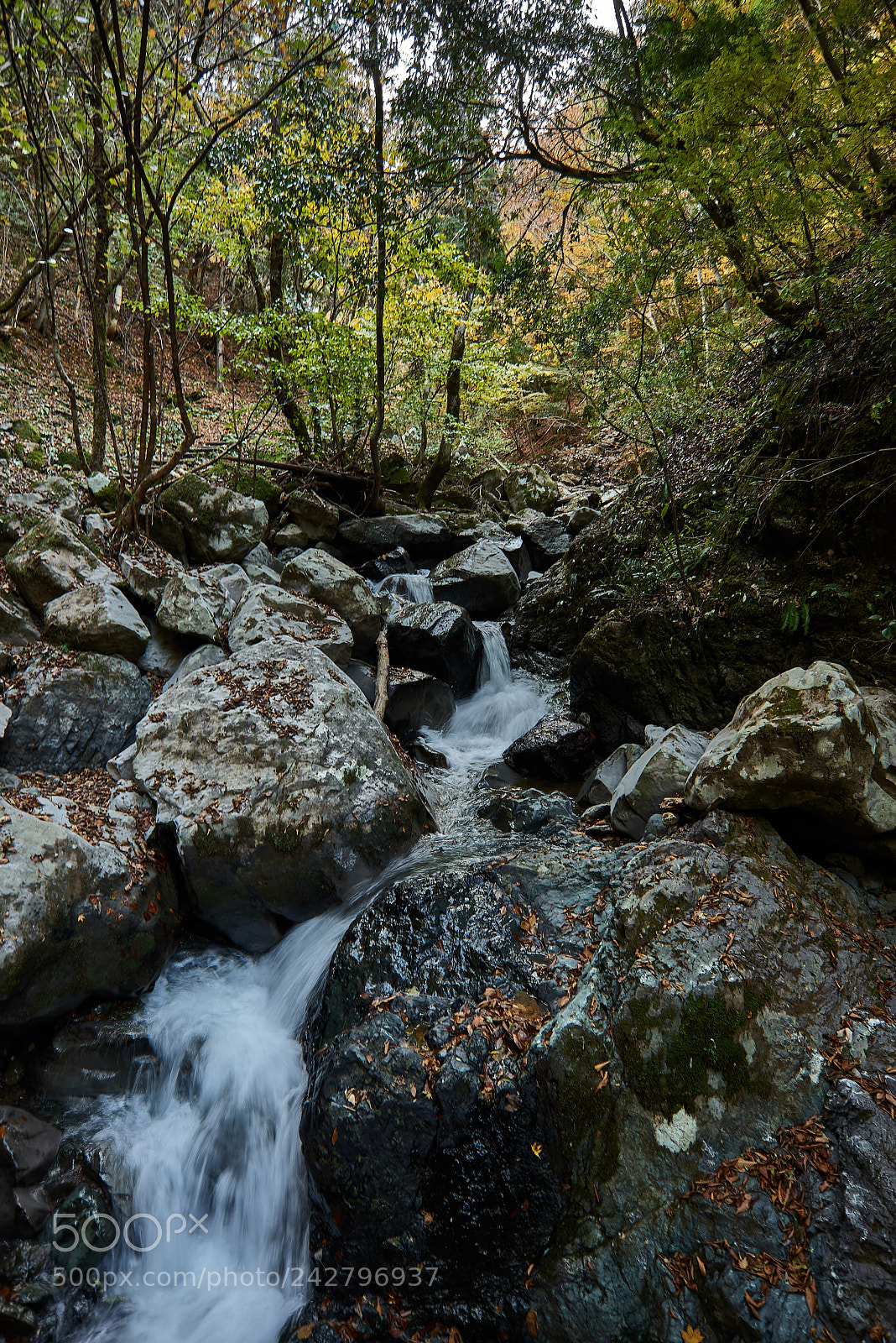 Nikon D800 sample photo. 天滝（２） photography