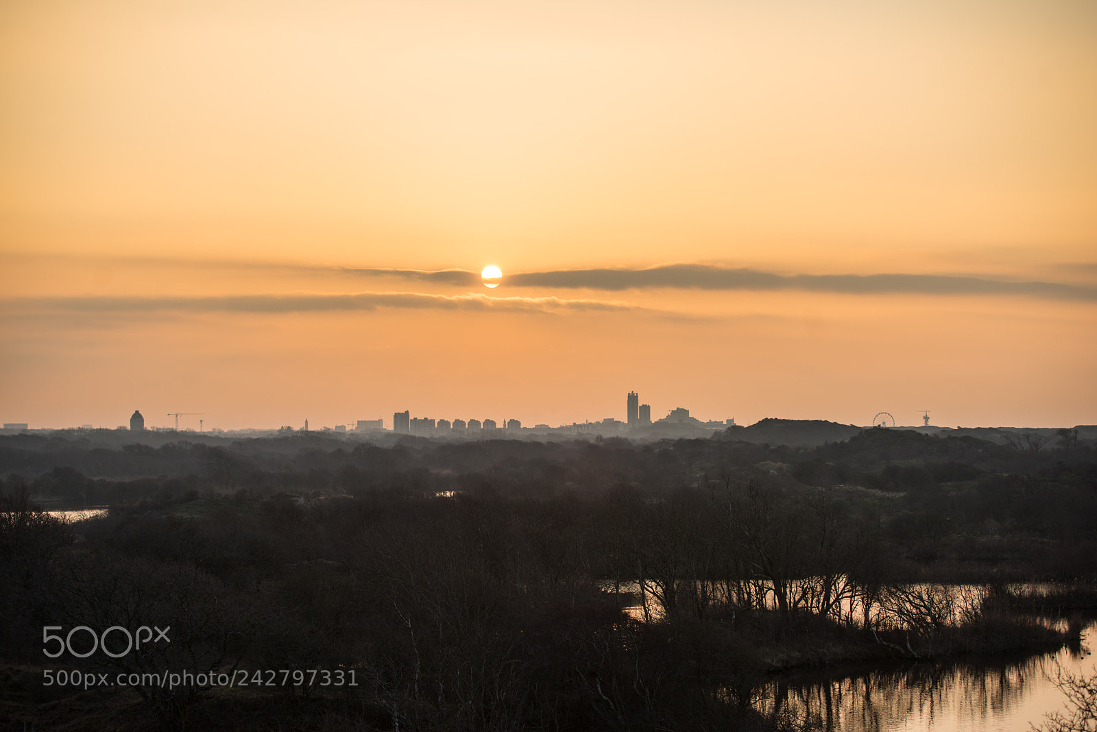 Nikon D800 sample photo. Scheveningen sunset photography
