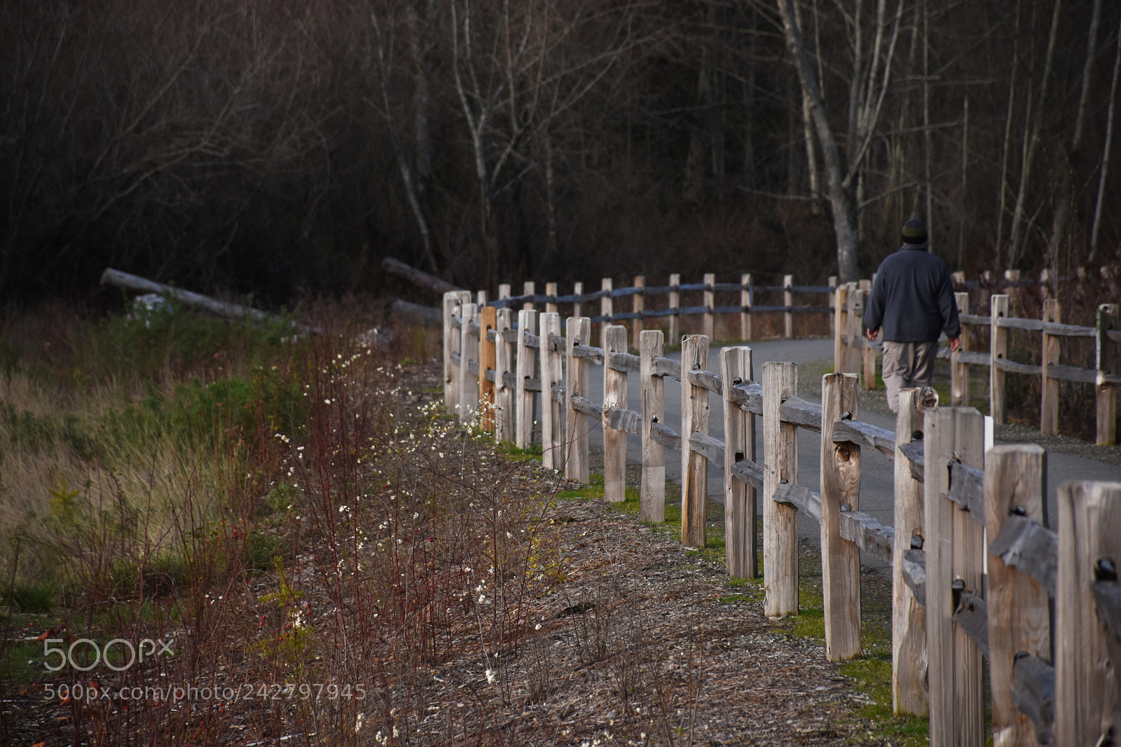 Nikon D5500 sample photo. #1 photography