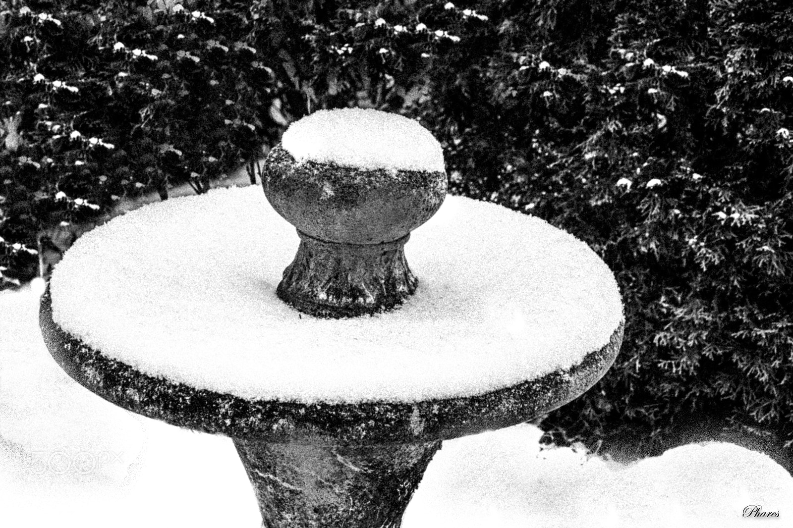 Nikon D7100 sample photo. Closed for winter photography