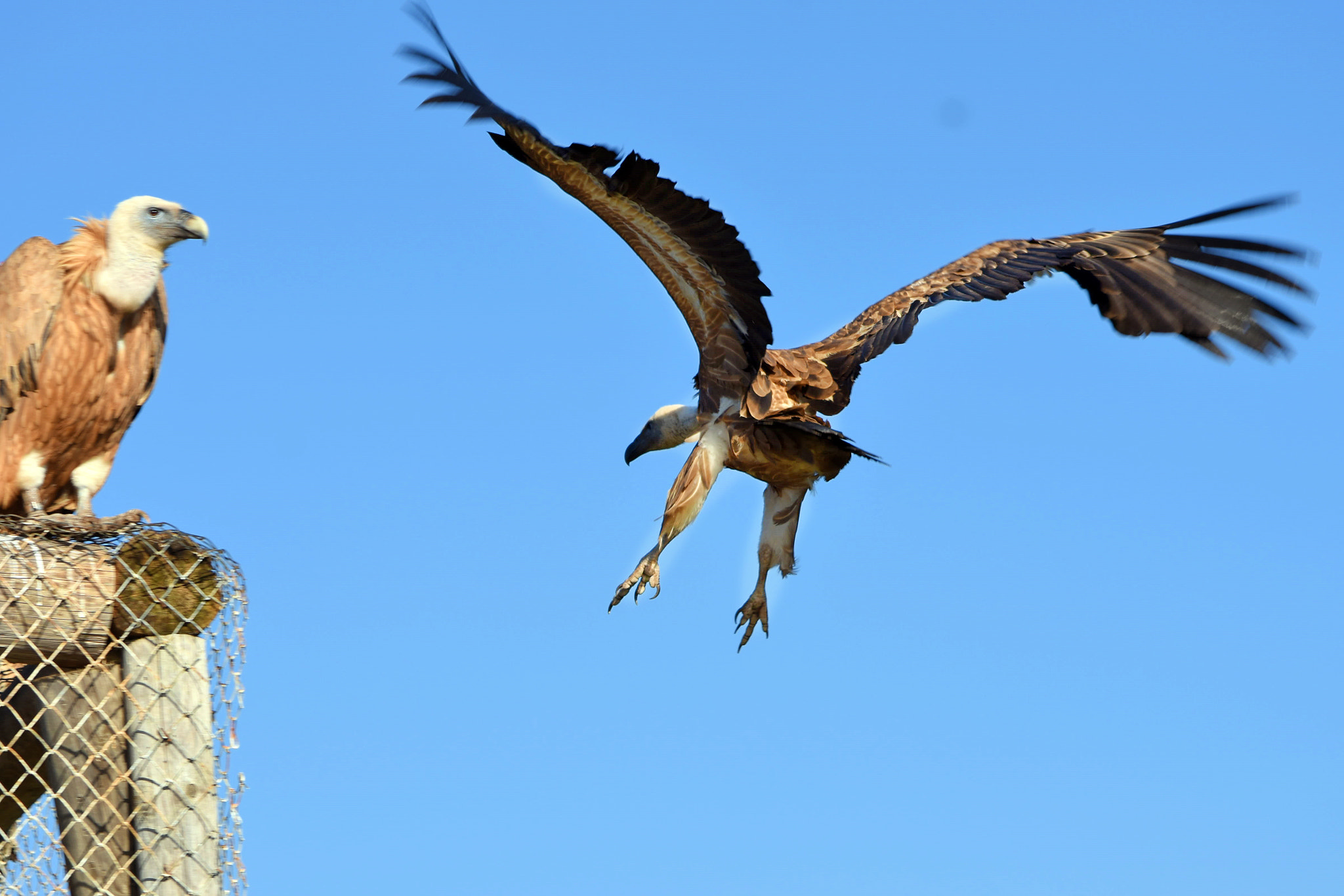 Nikon D7200 sample photo. Dsc photography
