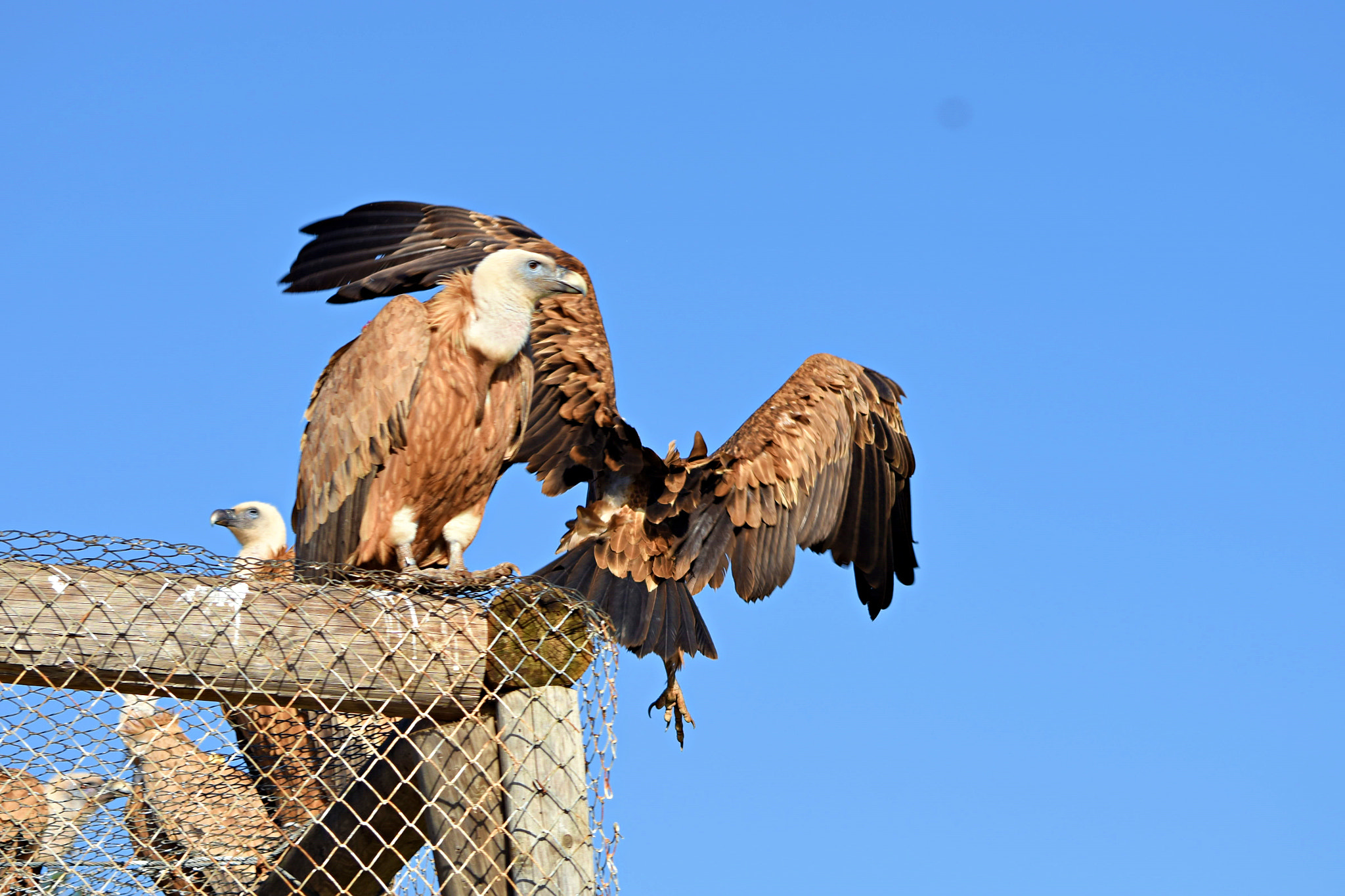 Nikon D7200 sample photo. Dsc photography