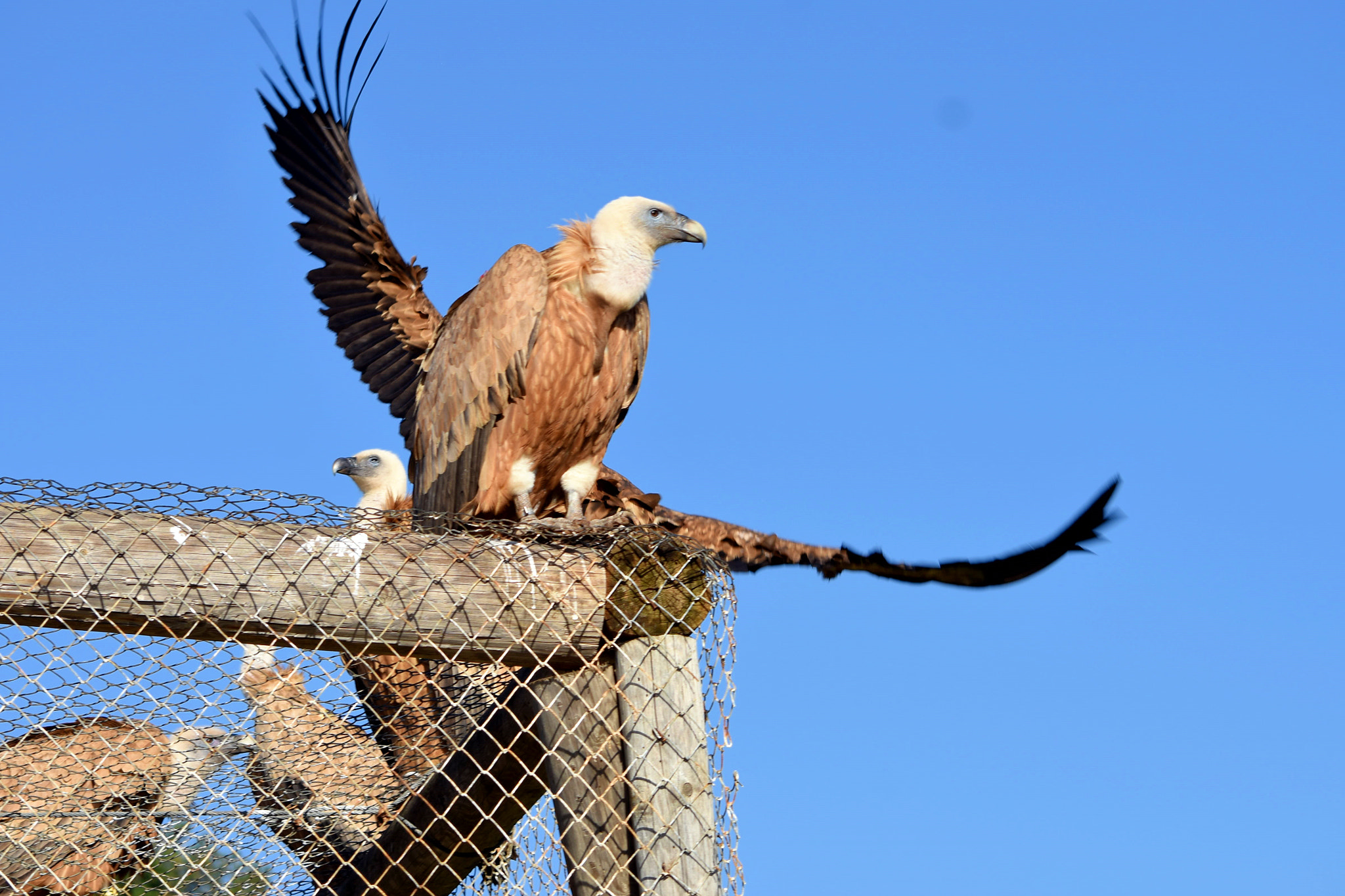 Nikon D7200 sample photo. Dsc photography