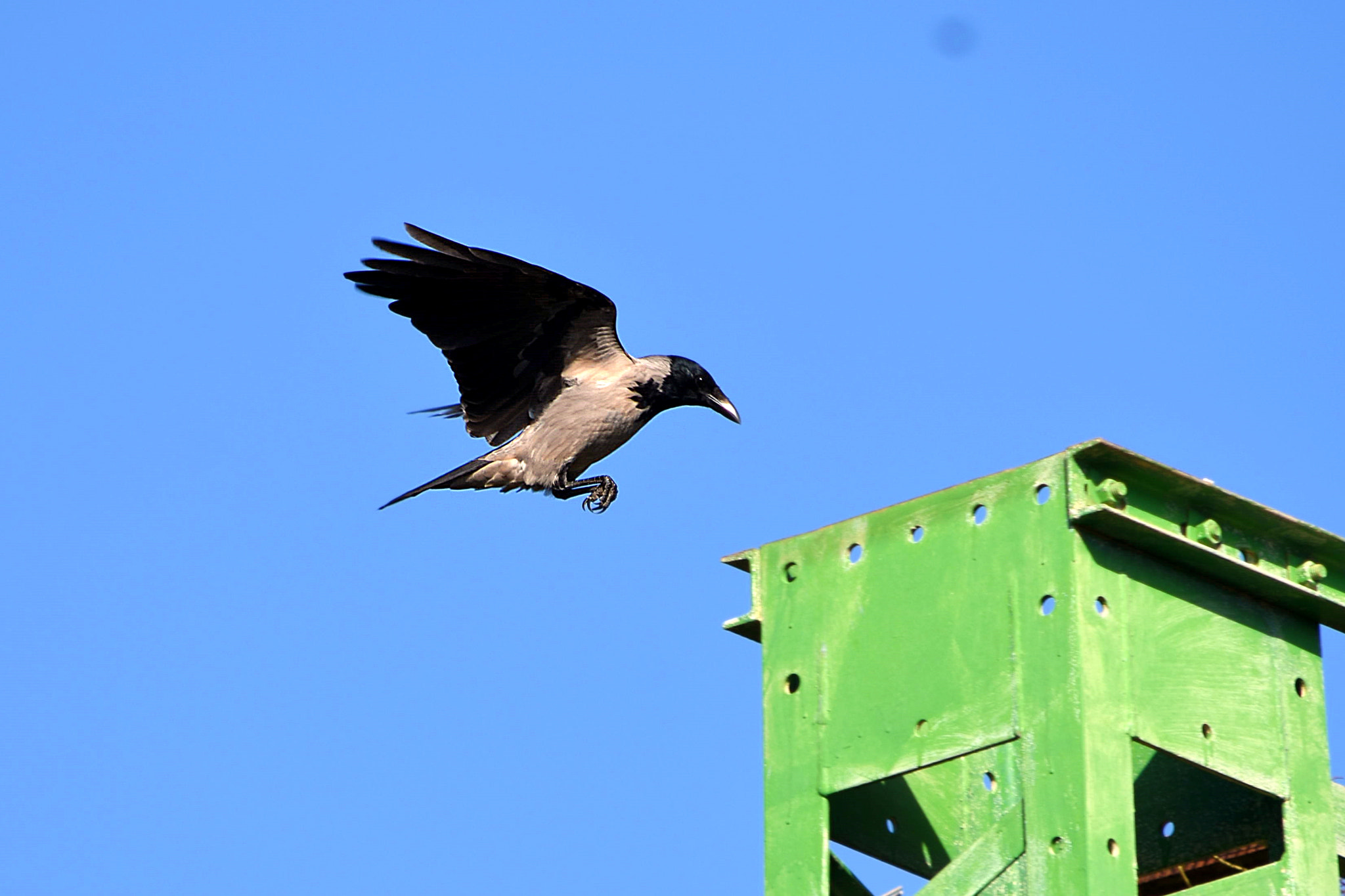 Nikon D7200 sample photo. Dsc photography