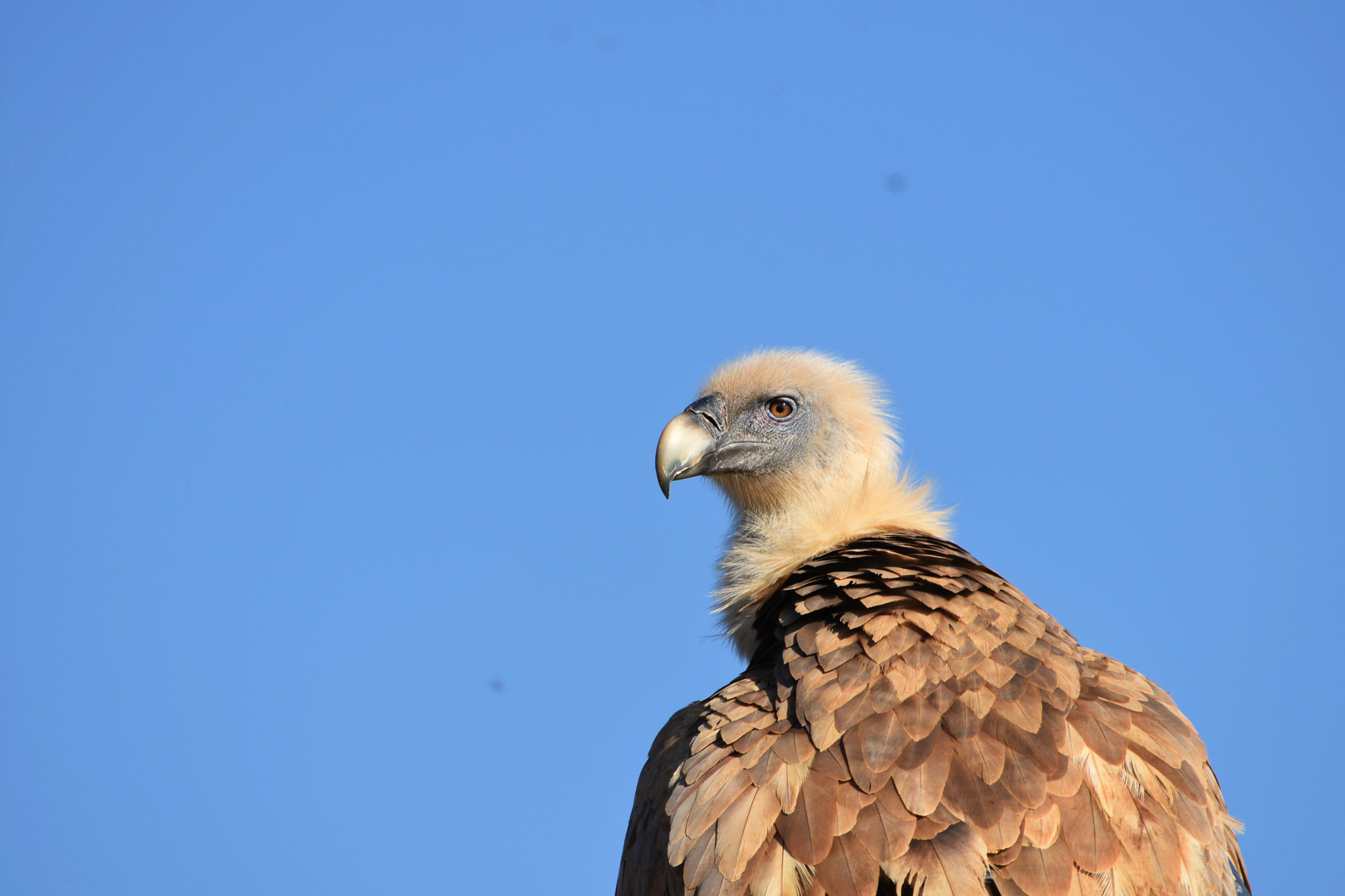 Nikon D7200 sample photo. Dsc photography