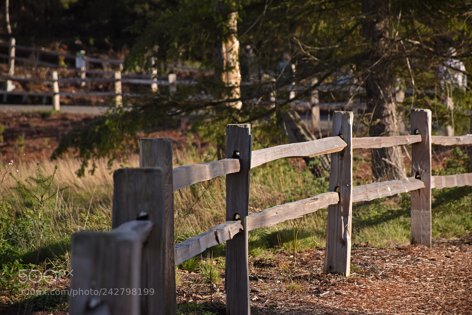 Nikon D5500 sample photo. #3 photography
