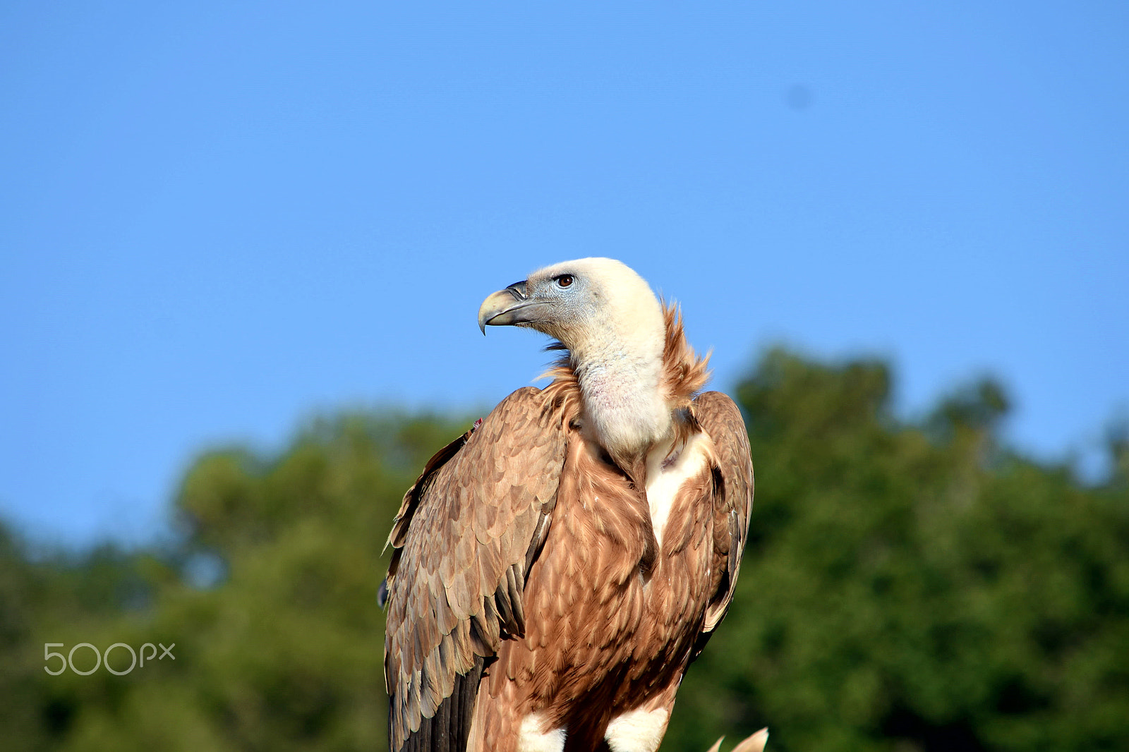 Nikon D7200 sample photo. Dsc photography