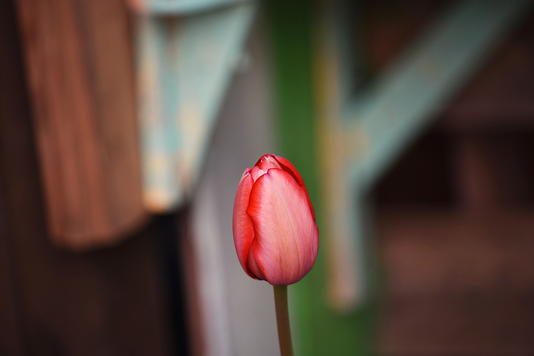 Nikon D7200 sample photo. Dsc photography