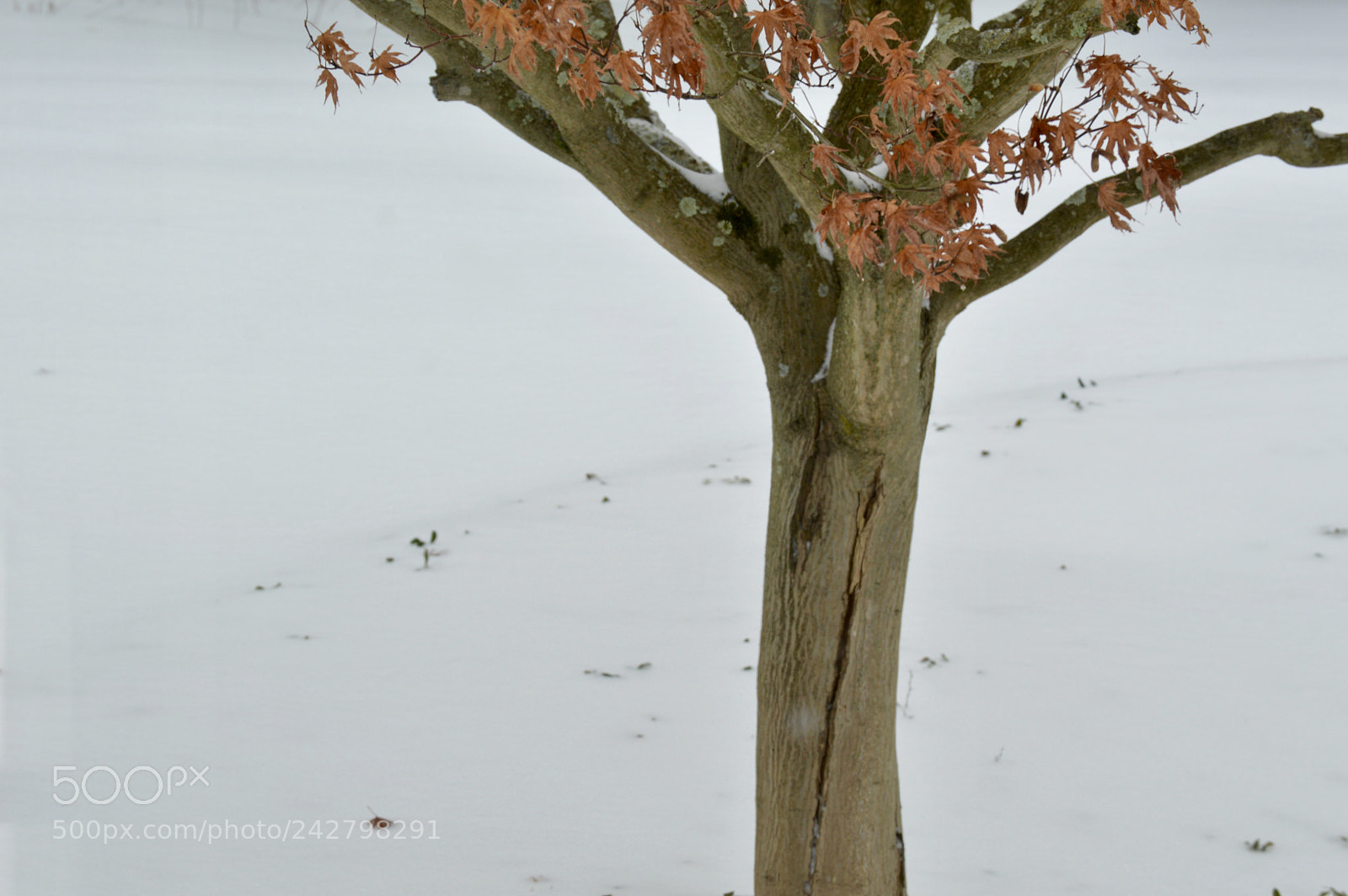 Nikon D3200 sample photo. Untitled photography