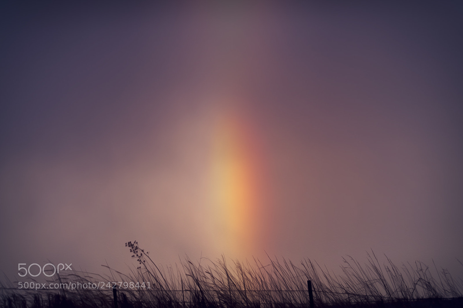 Nikon D850 sample photo. Sun dogs in the photography