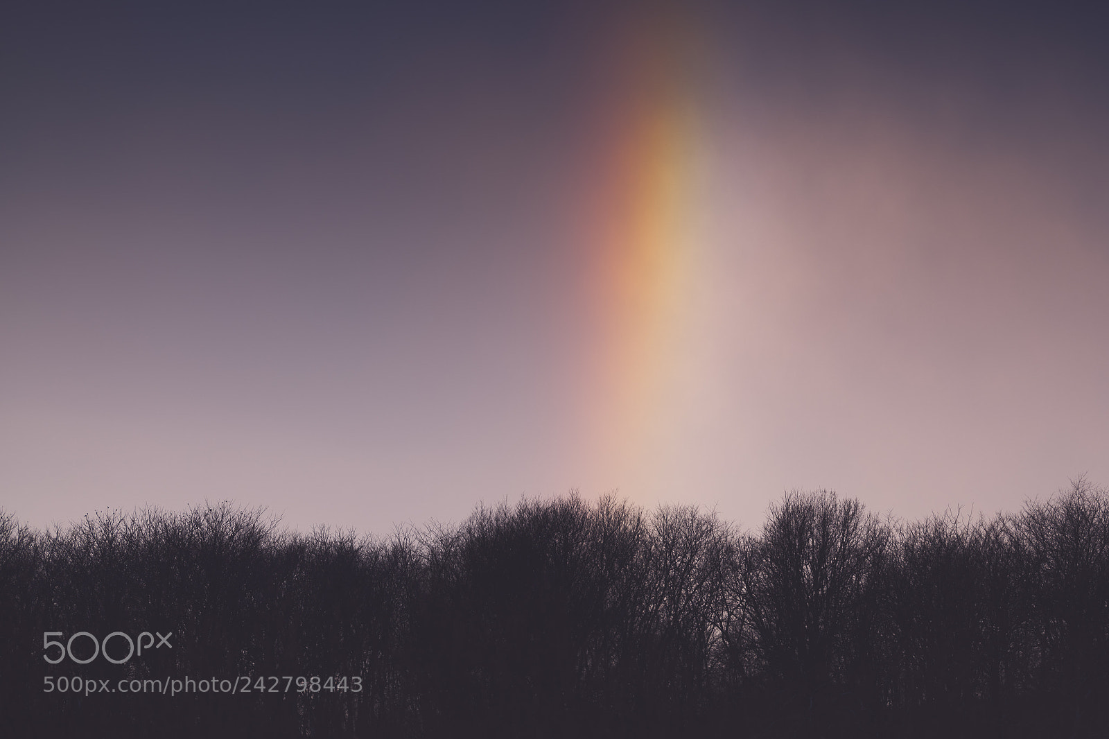 Nikon D850 sample photo. Sun dogs in iowa photography