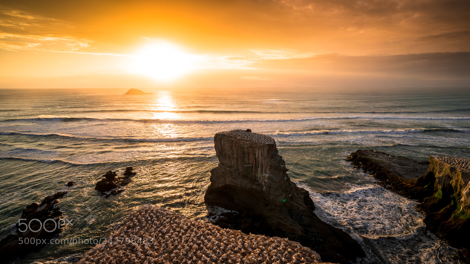 Sony a7 II sample photo. Gannet colony photography