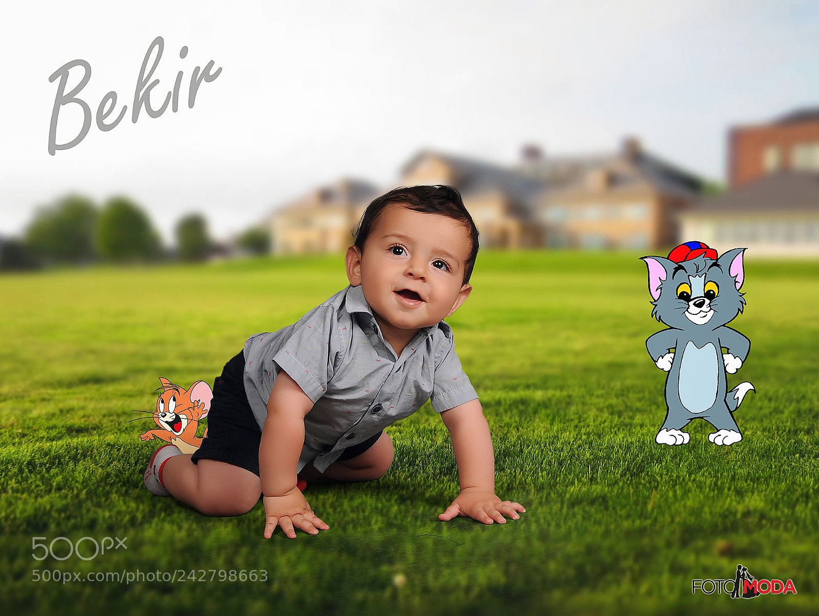 Nikon D300S sample photo. Untitled photography