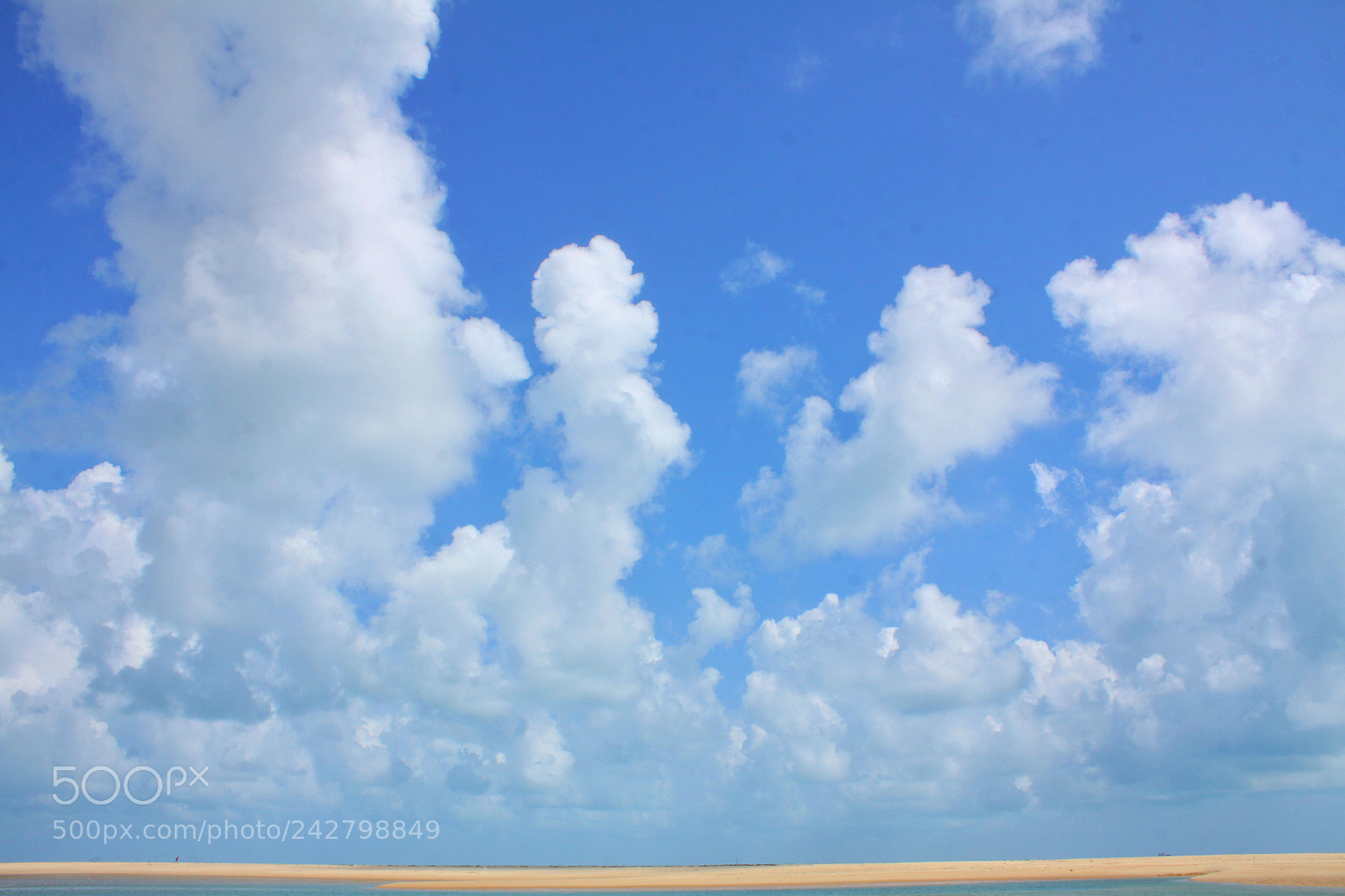Canon EOS 50D sample photo. Barra nova ce photography