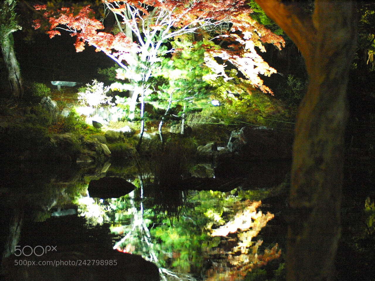 Olympus E-3 sample photo. Reflect photography