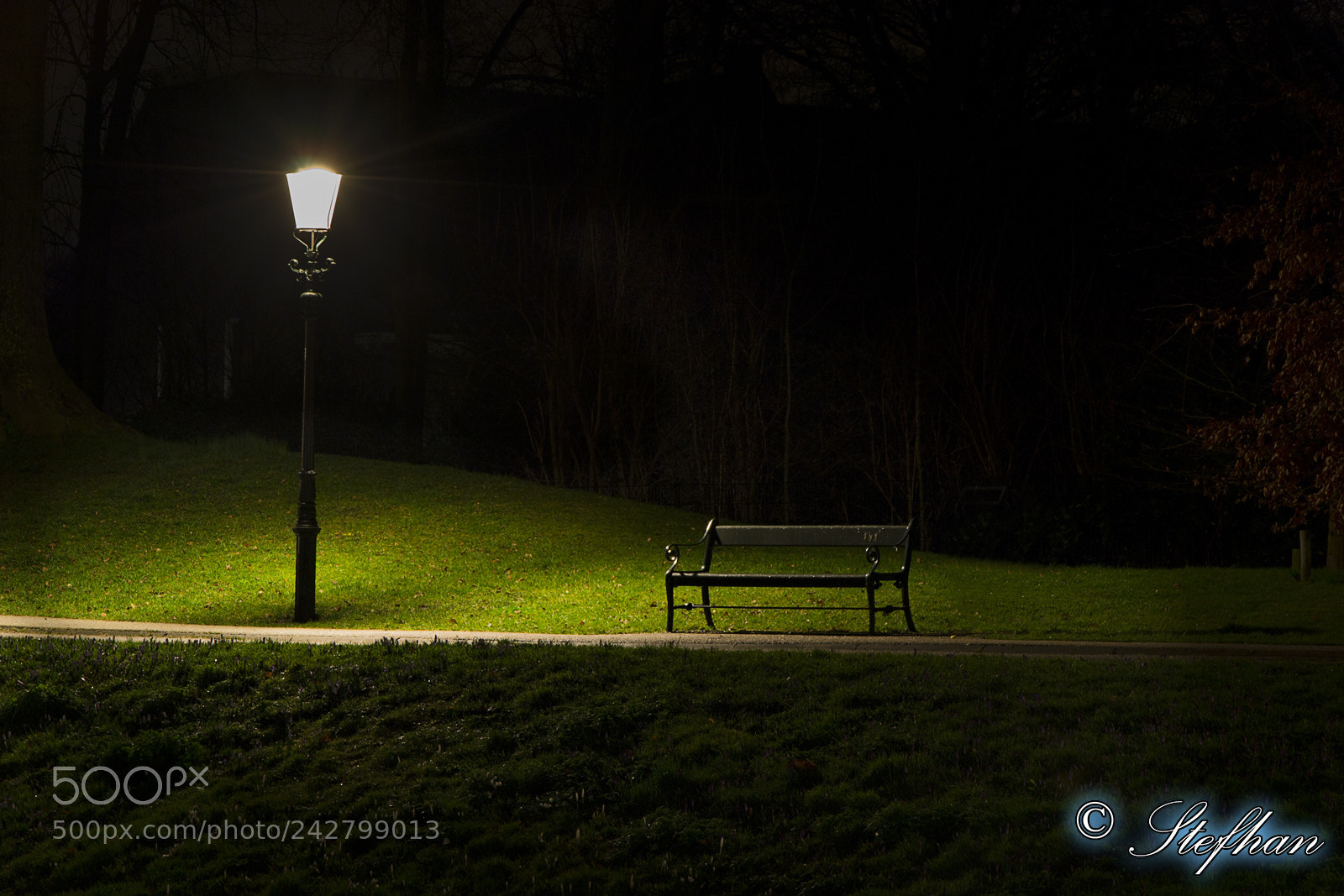 Nikon D3100 sample photo. Quiet scene photography