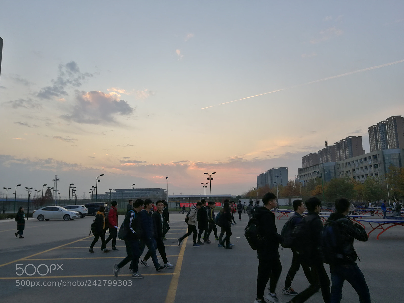 HUAWEI Mate 9 sample photo. Untitled photography