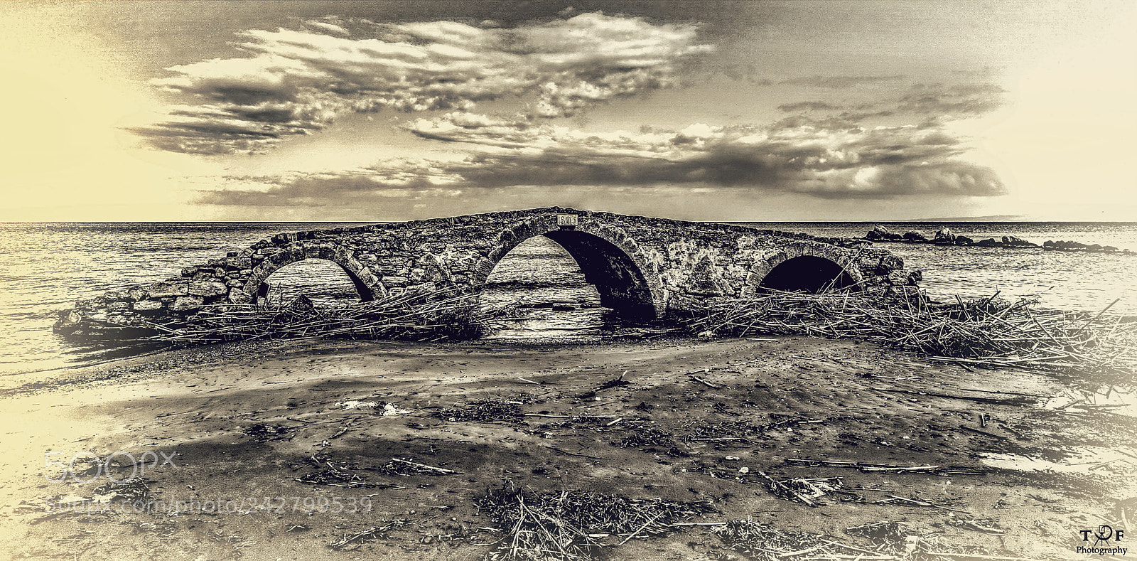 Nikon D610 sample photo. Untitled photography